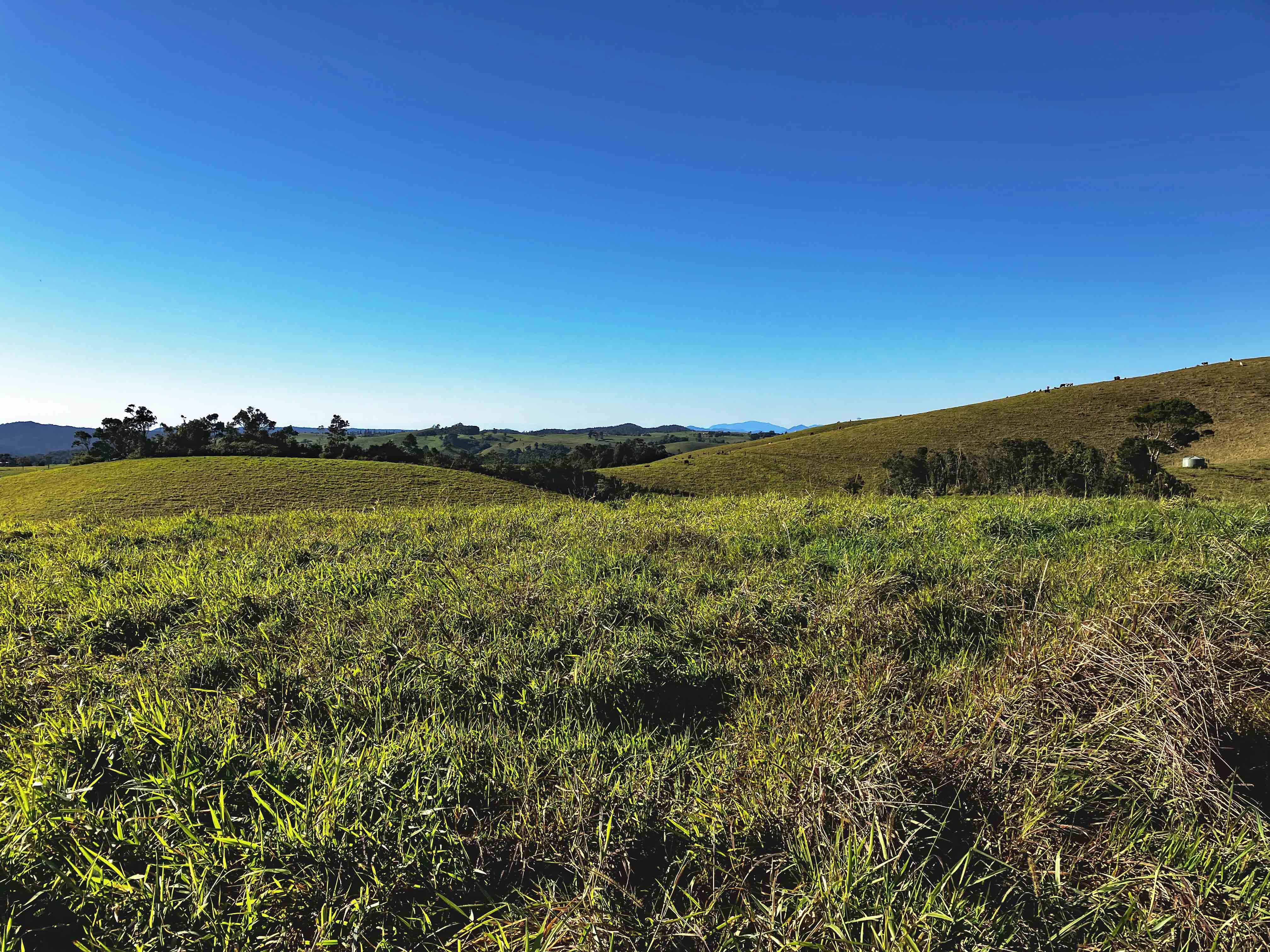 Tarzali, QLD 4885 Sold Rural Property Ray White Rural Atherton