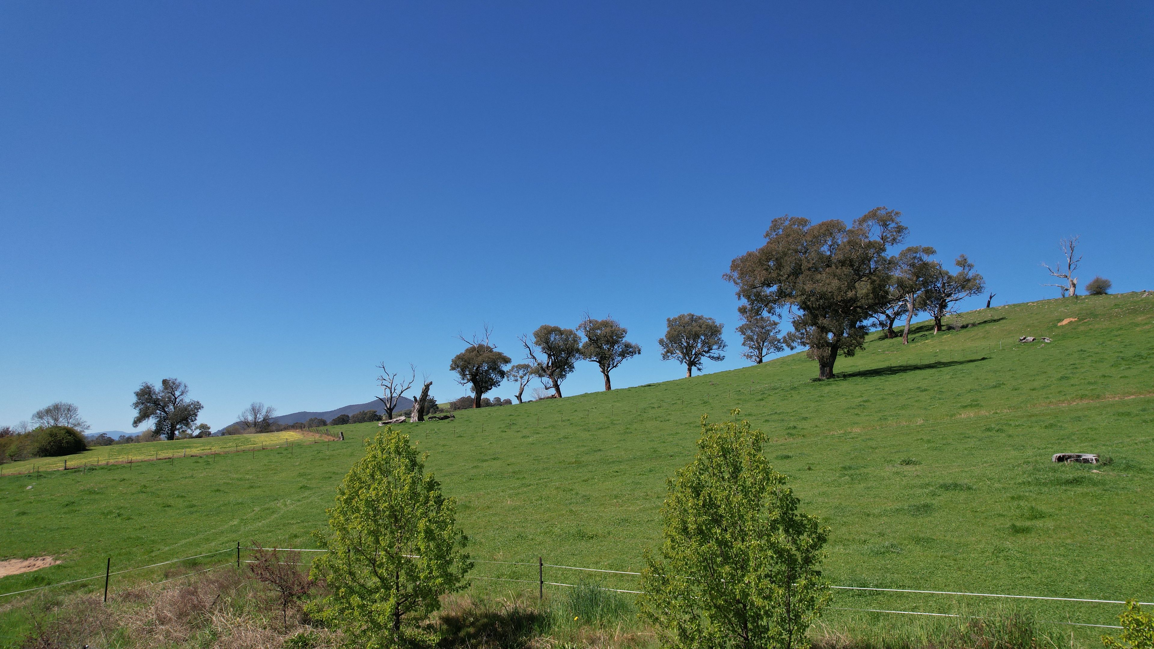 25 Jephcott Avenue, Corryong, VIC 3707