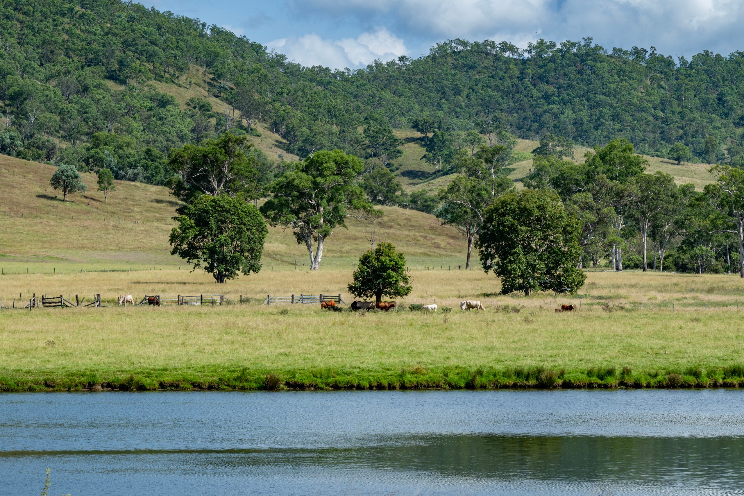 82 Timm Creek Road, Monsildale, QLD 4515