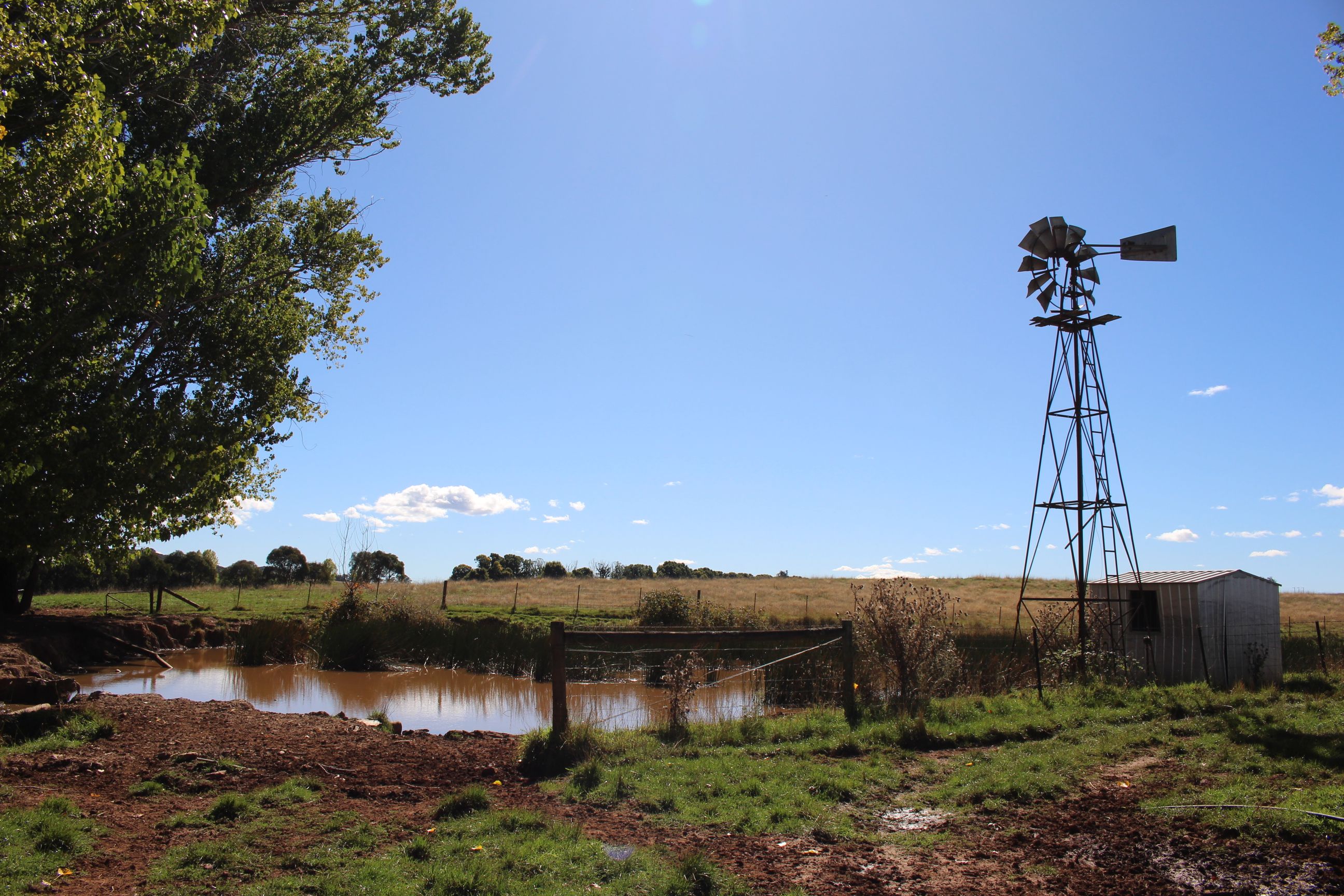 Lot 1/138 Courabyra Road, Tumbarumba, NSW 2653 Sold Rural Livestock