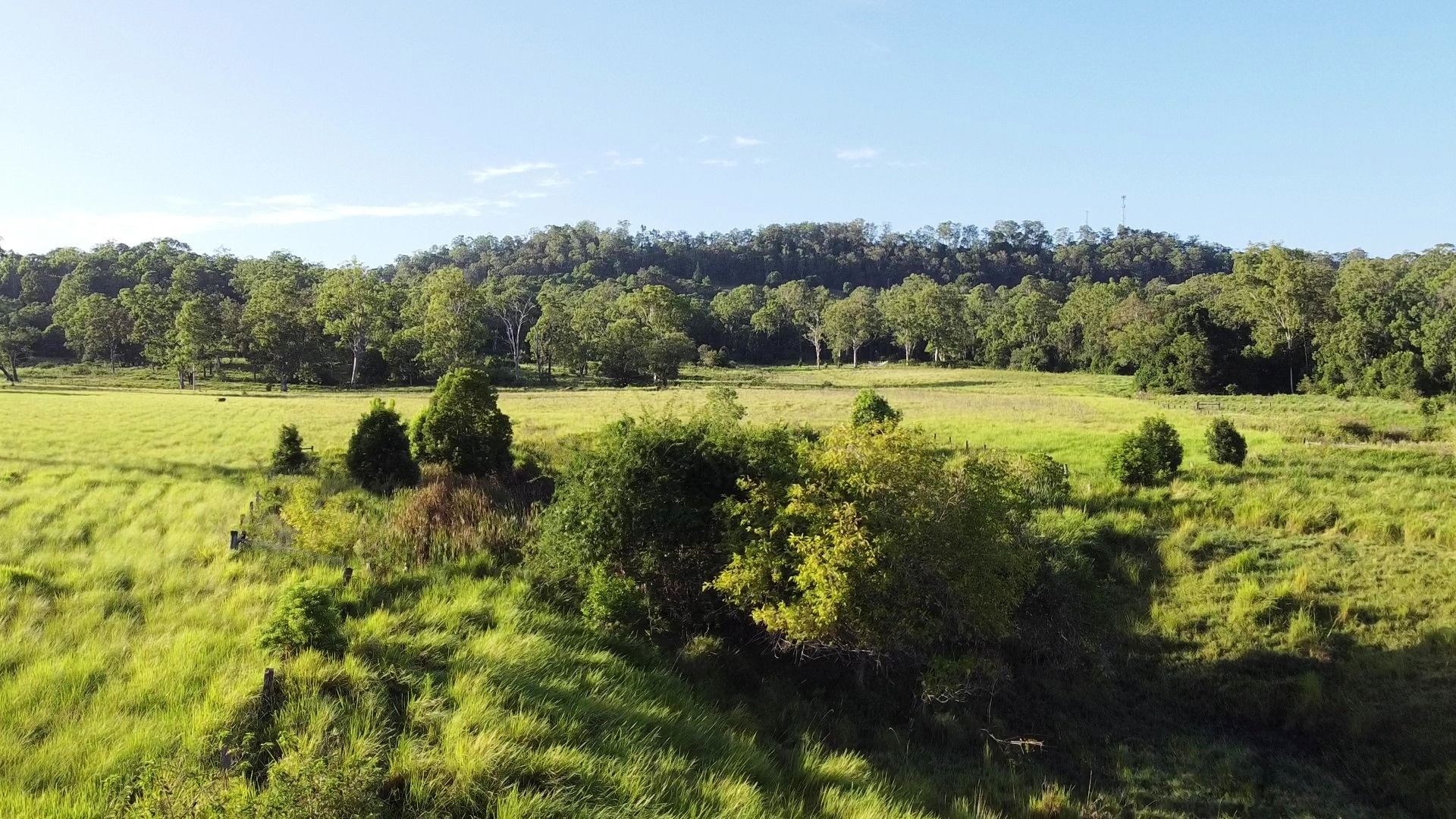 1106 Naughtons Gap Road — photo 13 of 27