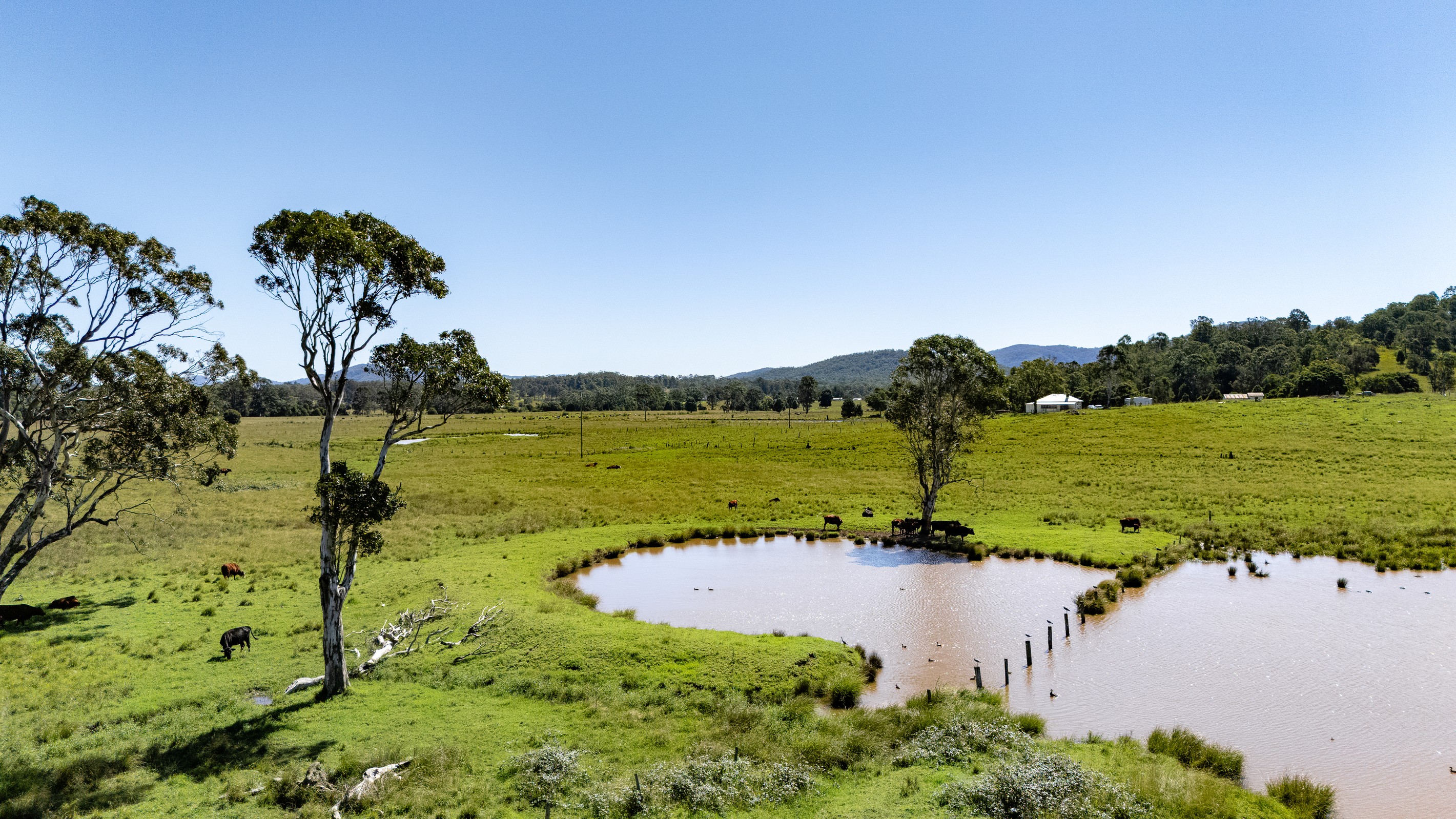 107 Avery Lane, Dyers Crossing, NSW 2429