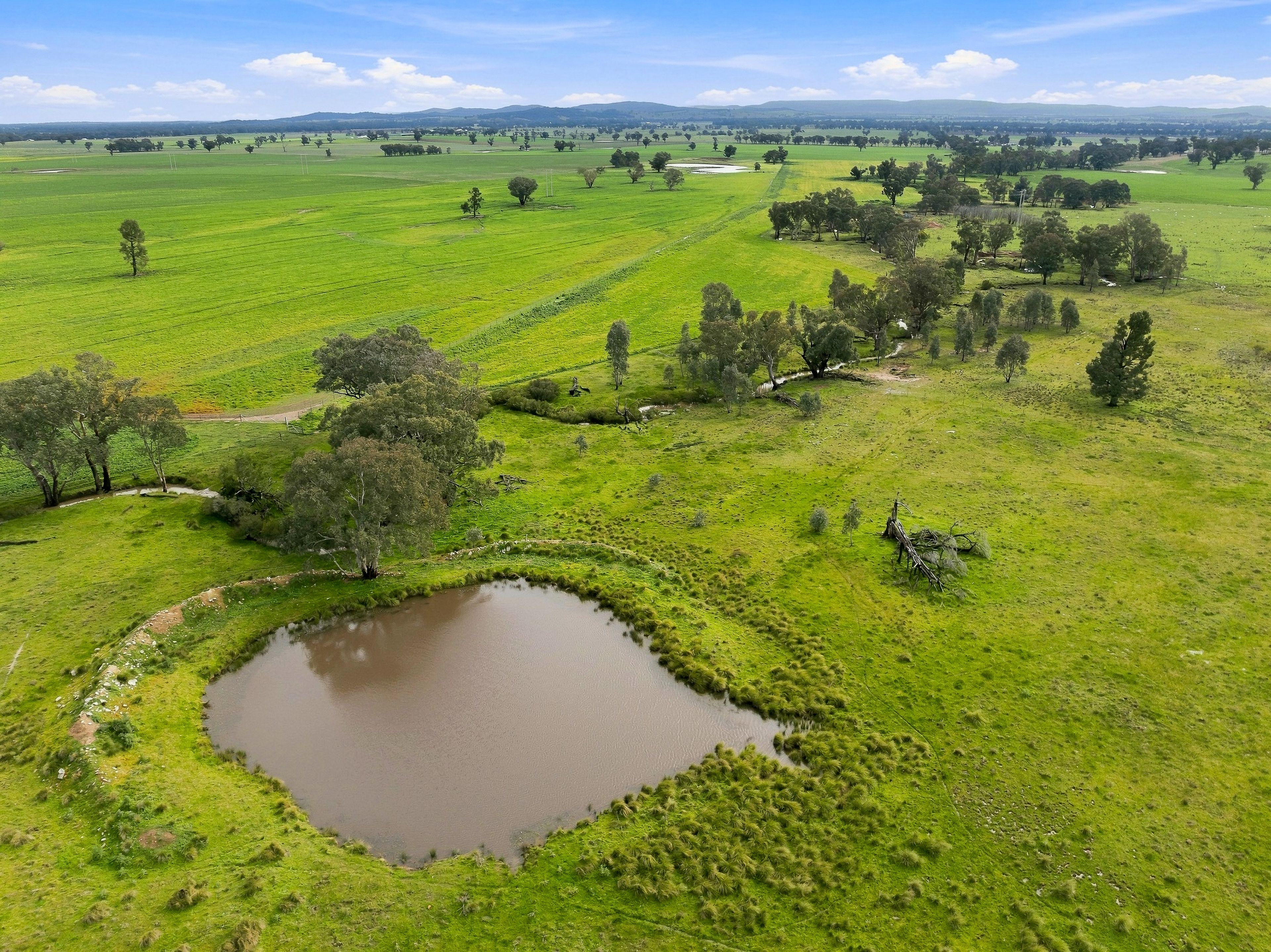 'Merrivale' 358 Goodwins Lookout Road — photo 5 of 16
