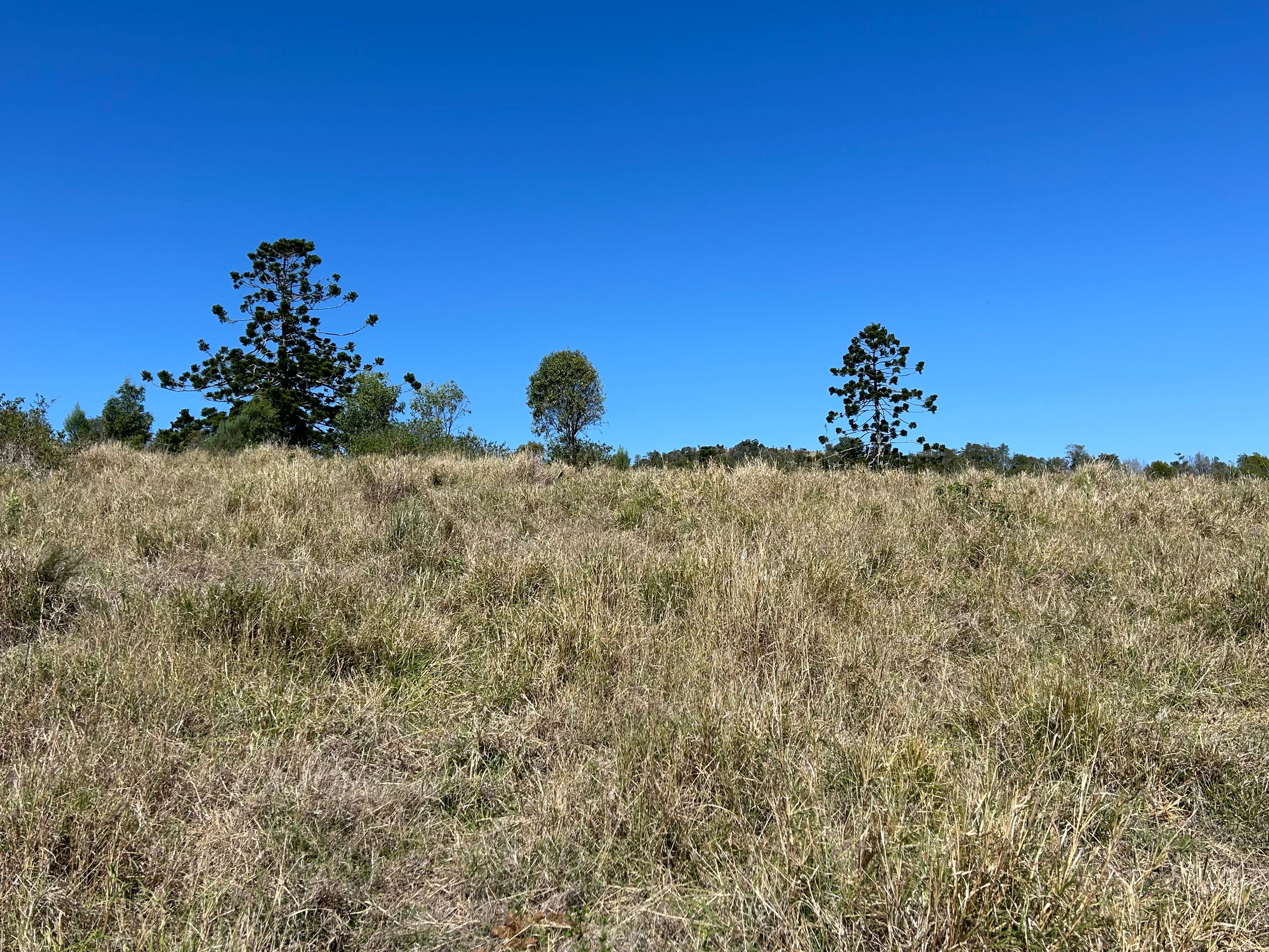 143 Schreyers Road, Nutgrove, QLD 4352 Rural Property for Sale Ray White Rural Oakey