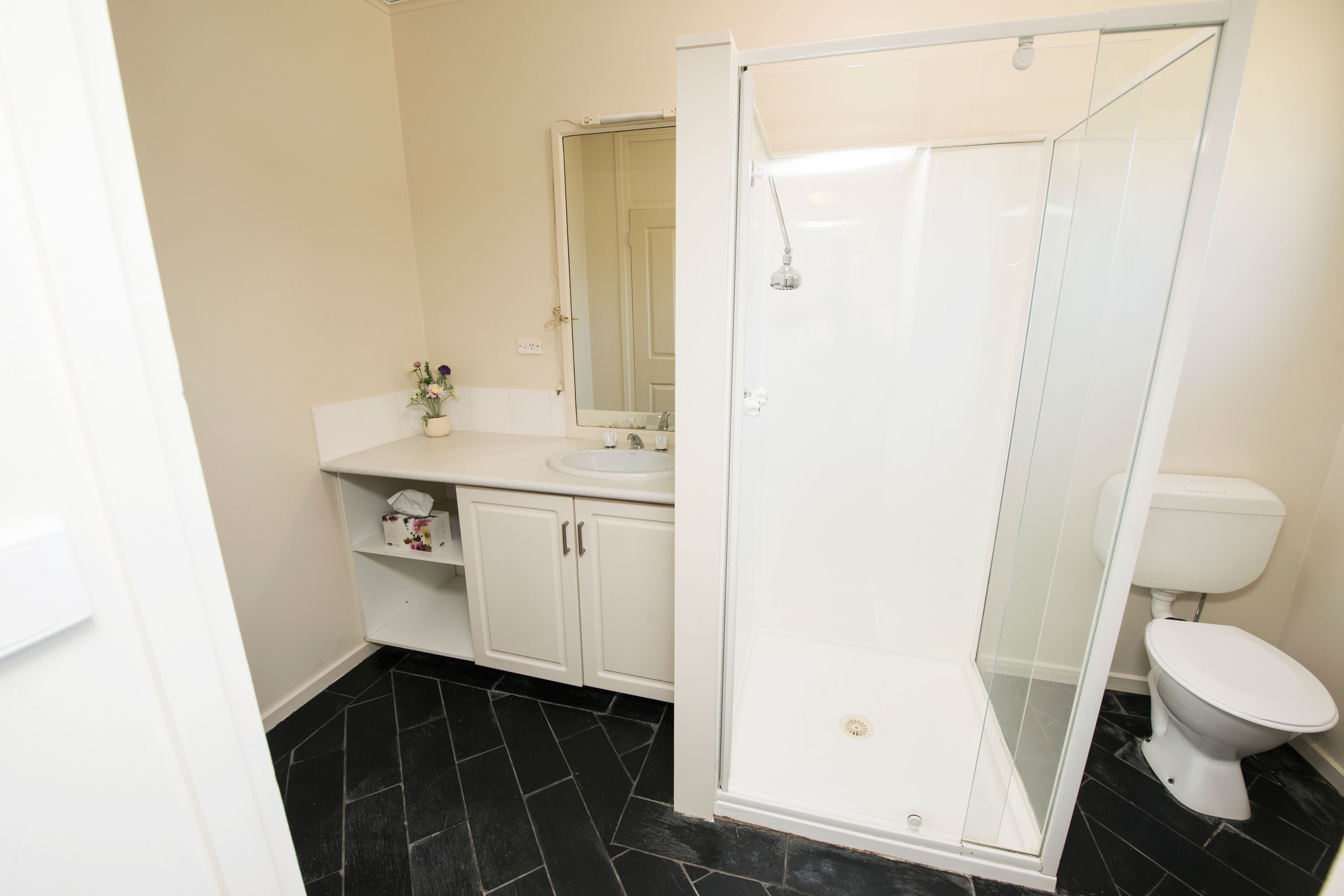 21 Douglas Avenue, Swan Hill, VIC 3585 House for Rent Ray White