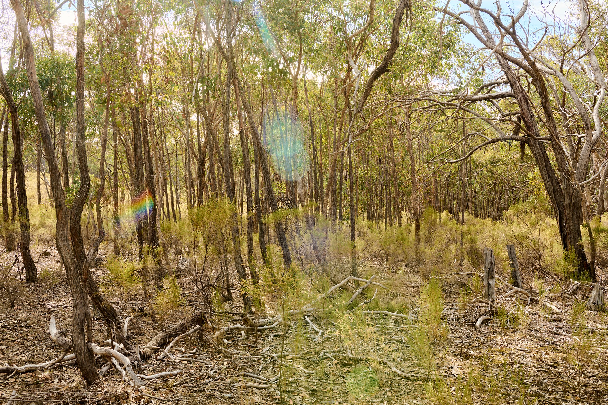 CA 37H Kuhlemans Track, Heathcote, VIC 3523