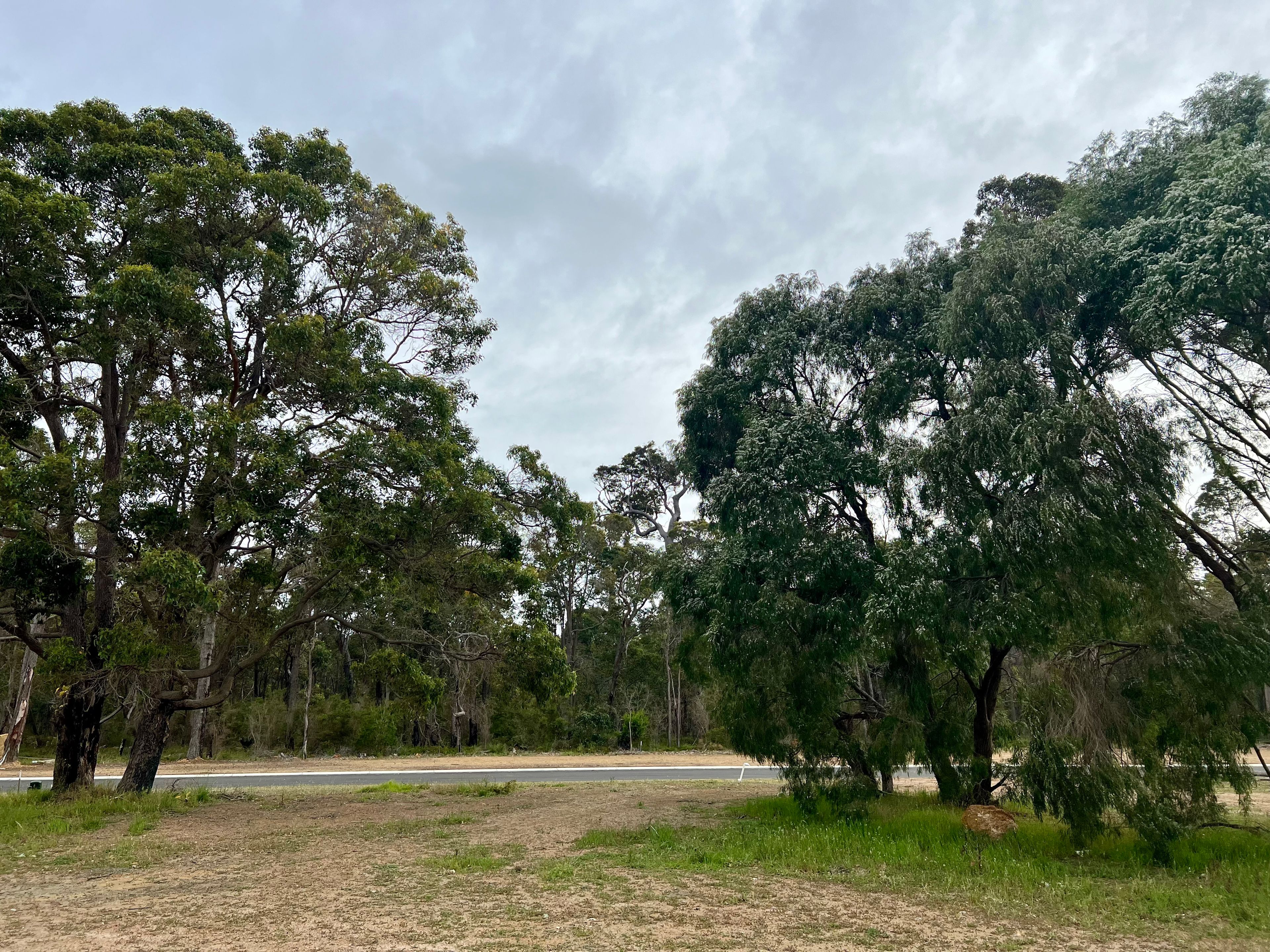 16 Truffle Circuit, Cowaramup WA 6284