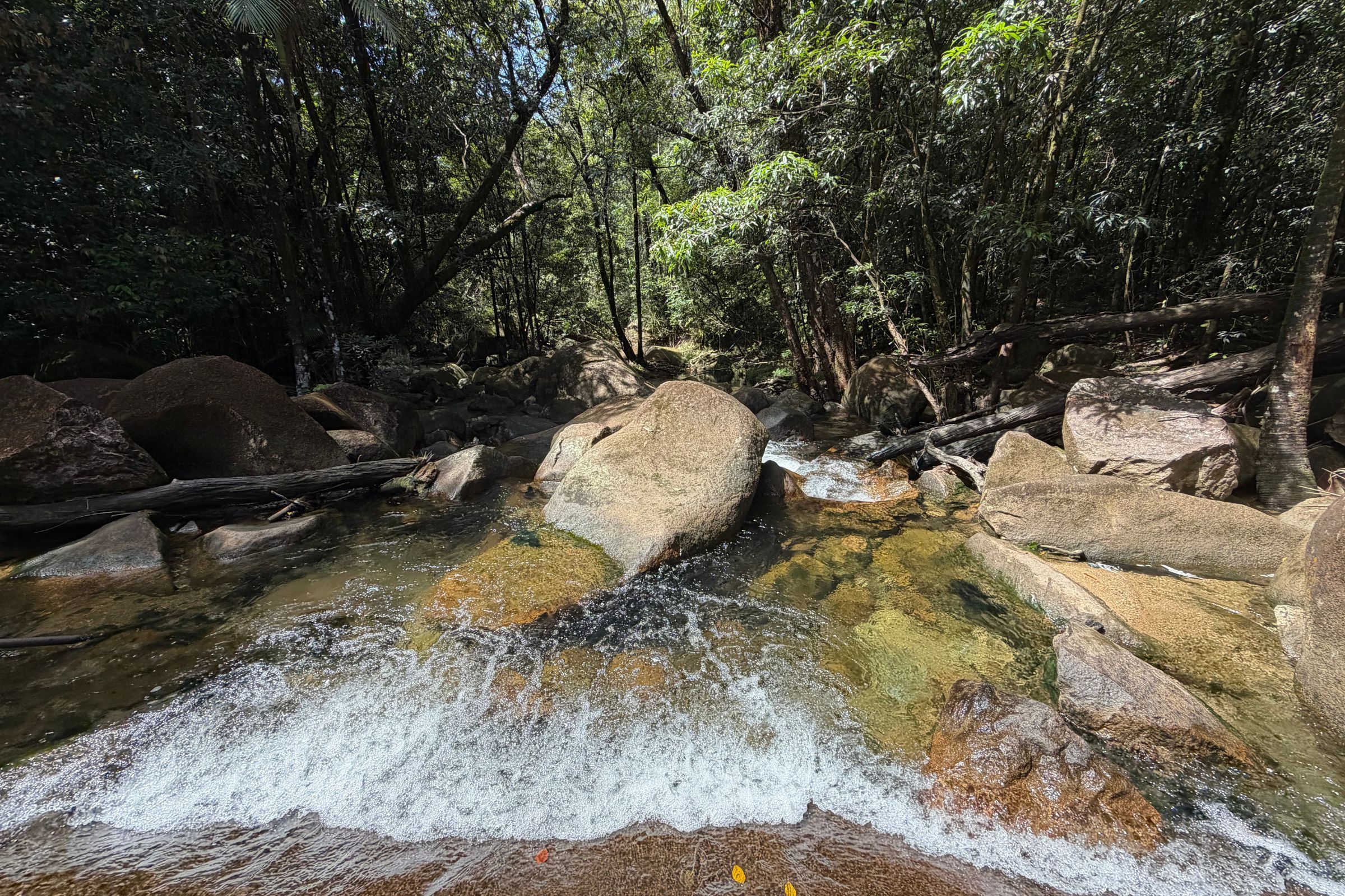 45 Stonewood Road, Diwan — photo from Ray White Port Douglas