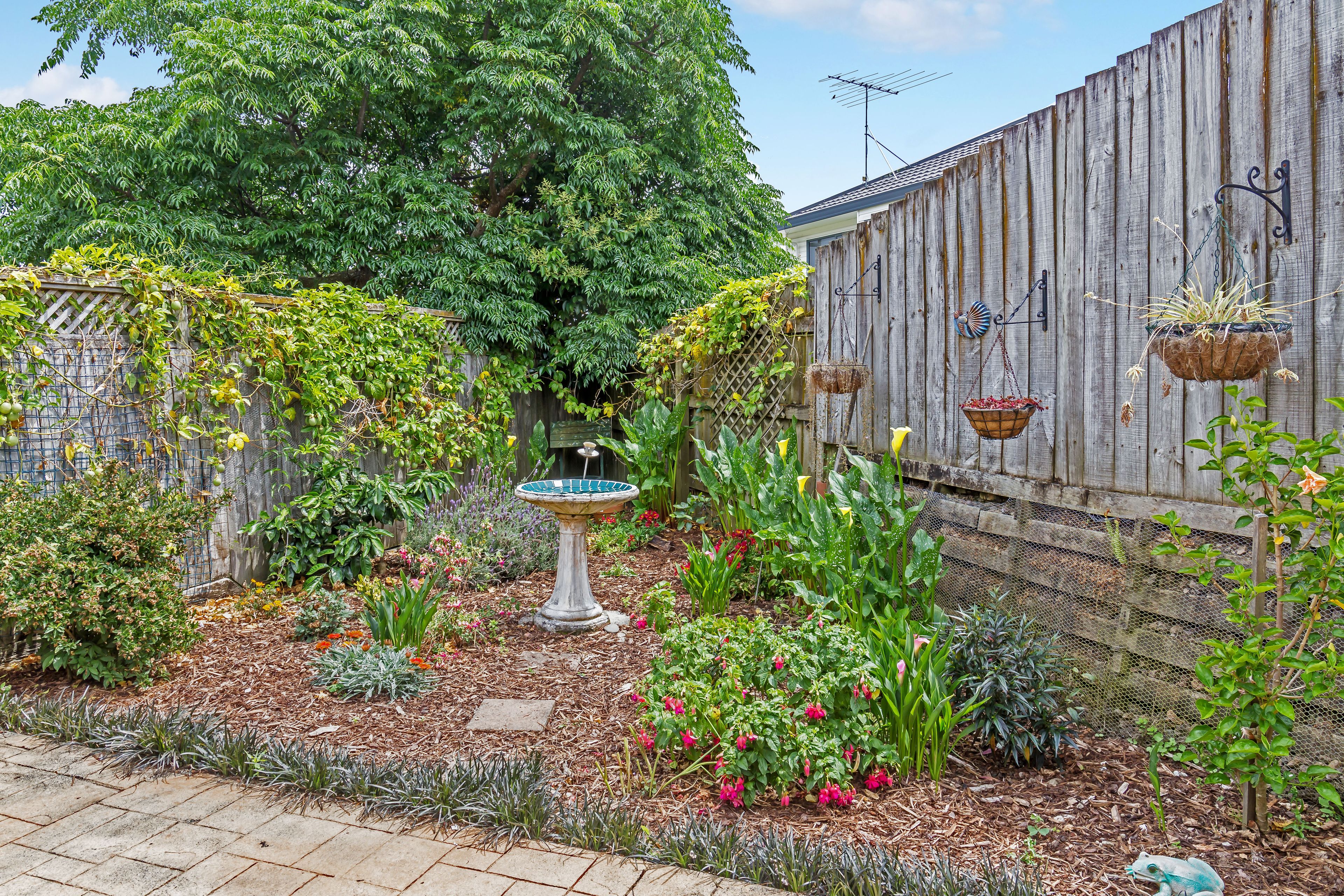 29 Palmgreen Court, Stanmore Bay, Rodney