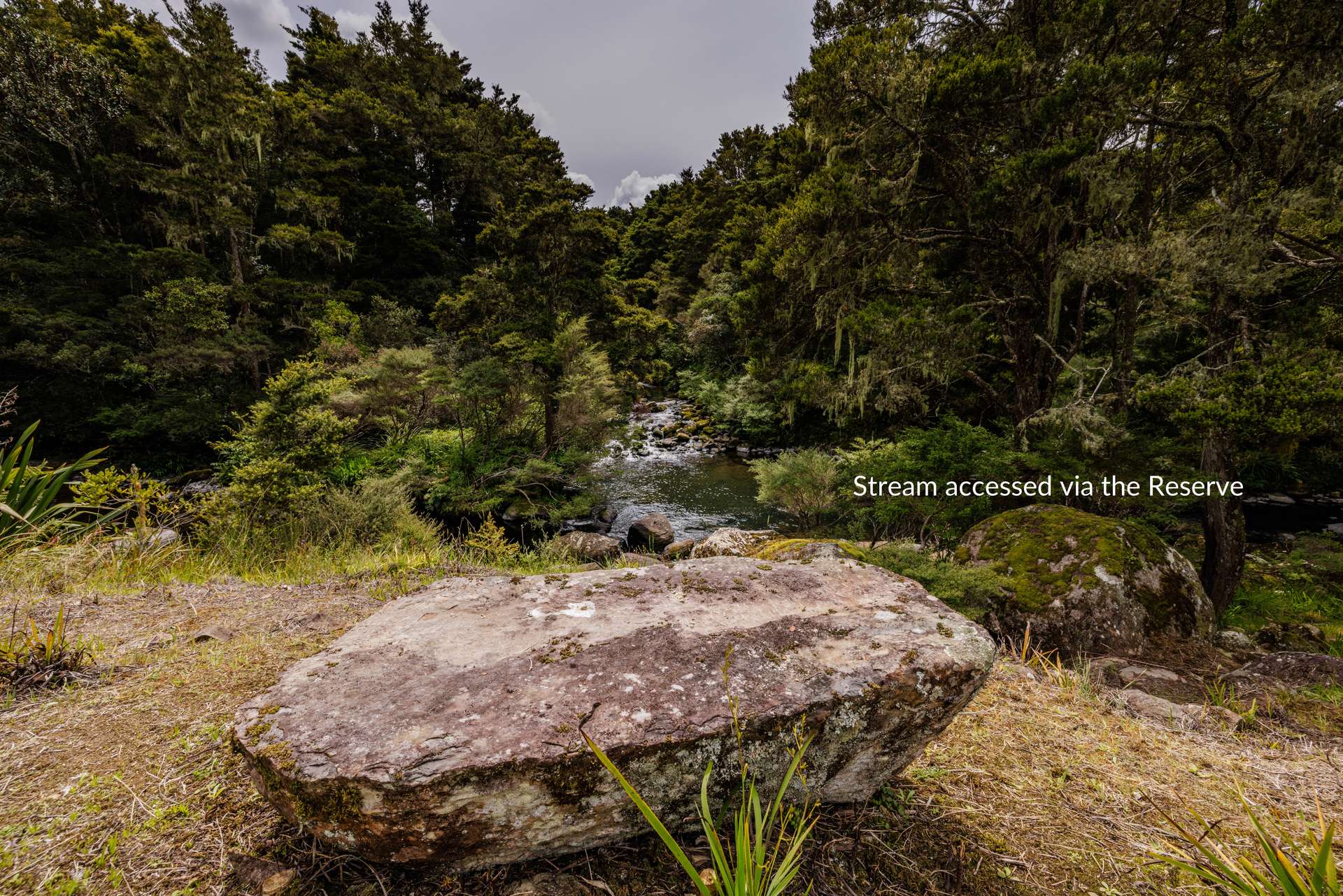 43Z Blue Gum Lane photo 21