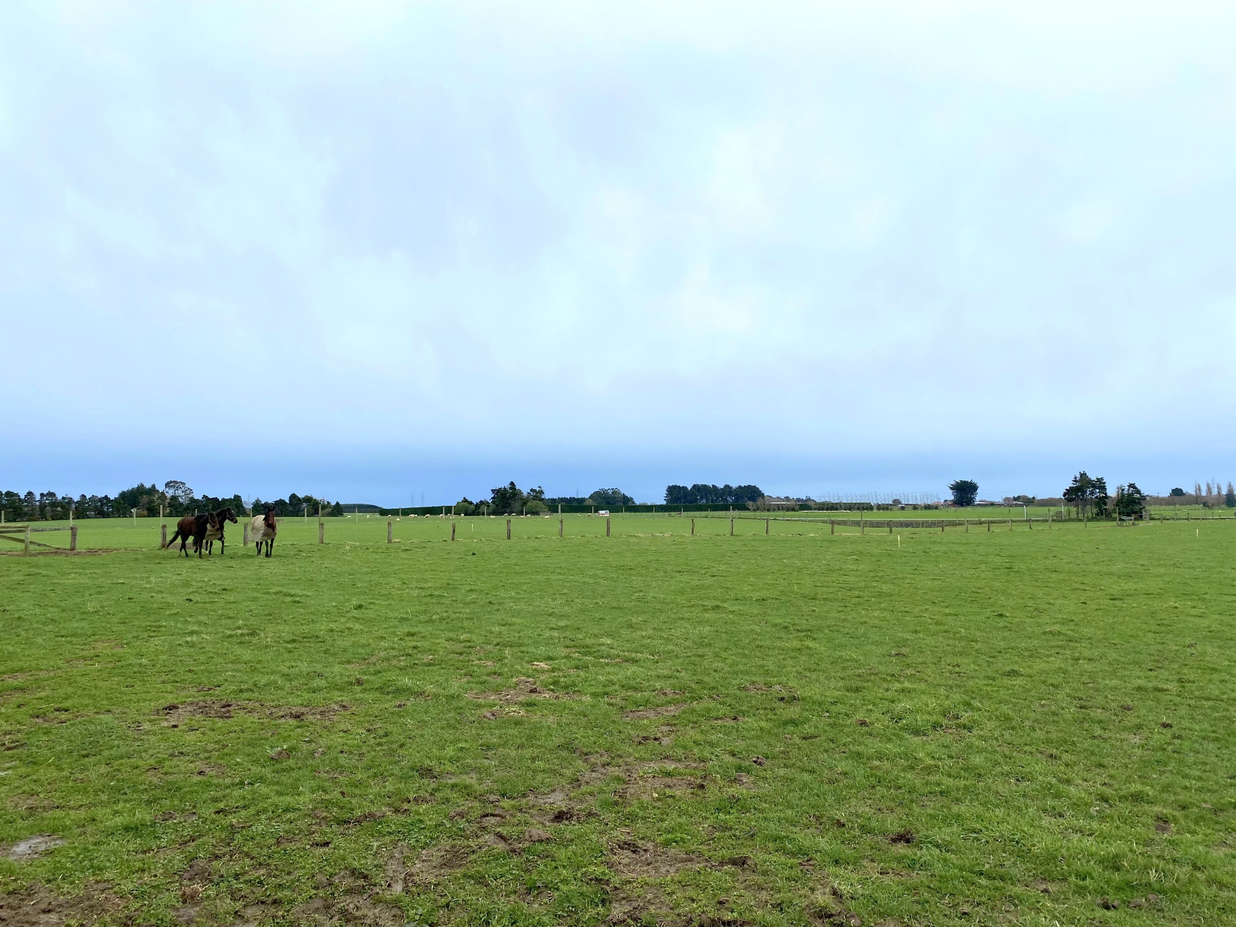 Lot 4 - 170 Collinson Road, Ryal Bush, Southland District