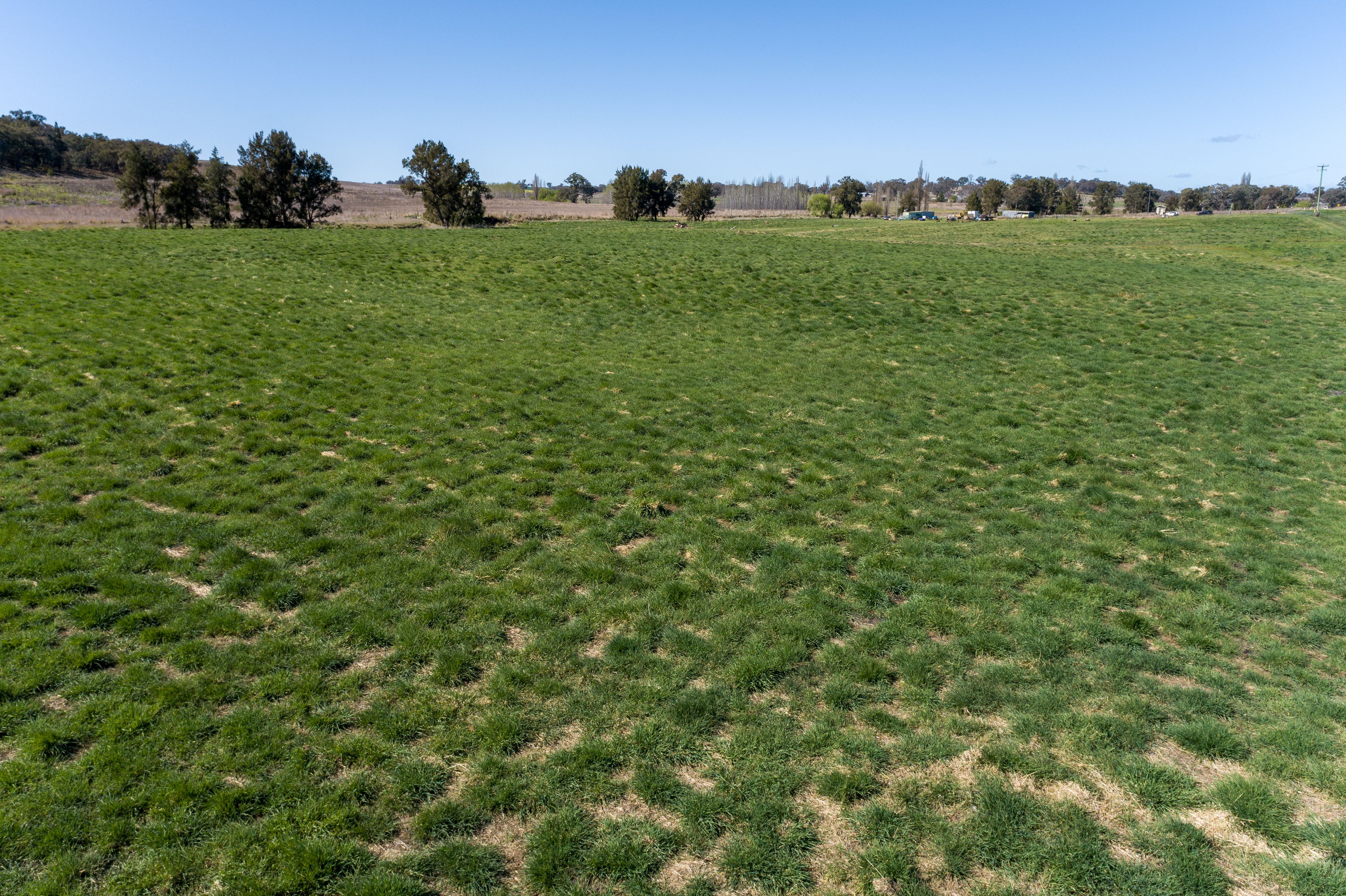 3972 Mitchell Highway, Molong, NSW 2866 Rural Lifestyle Property for