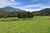 1455 Aorere Valley Road photo 14