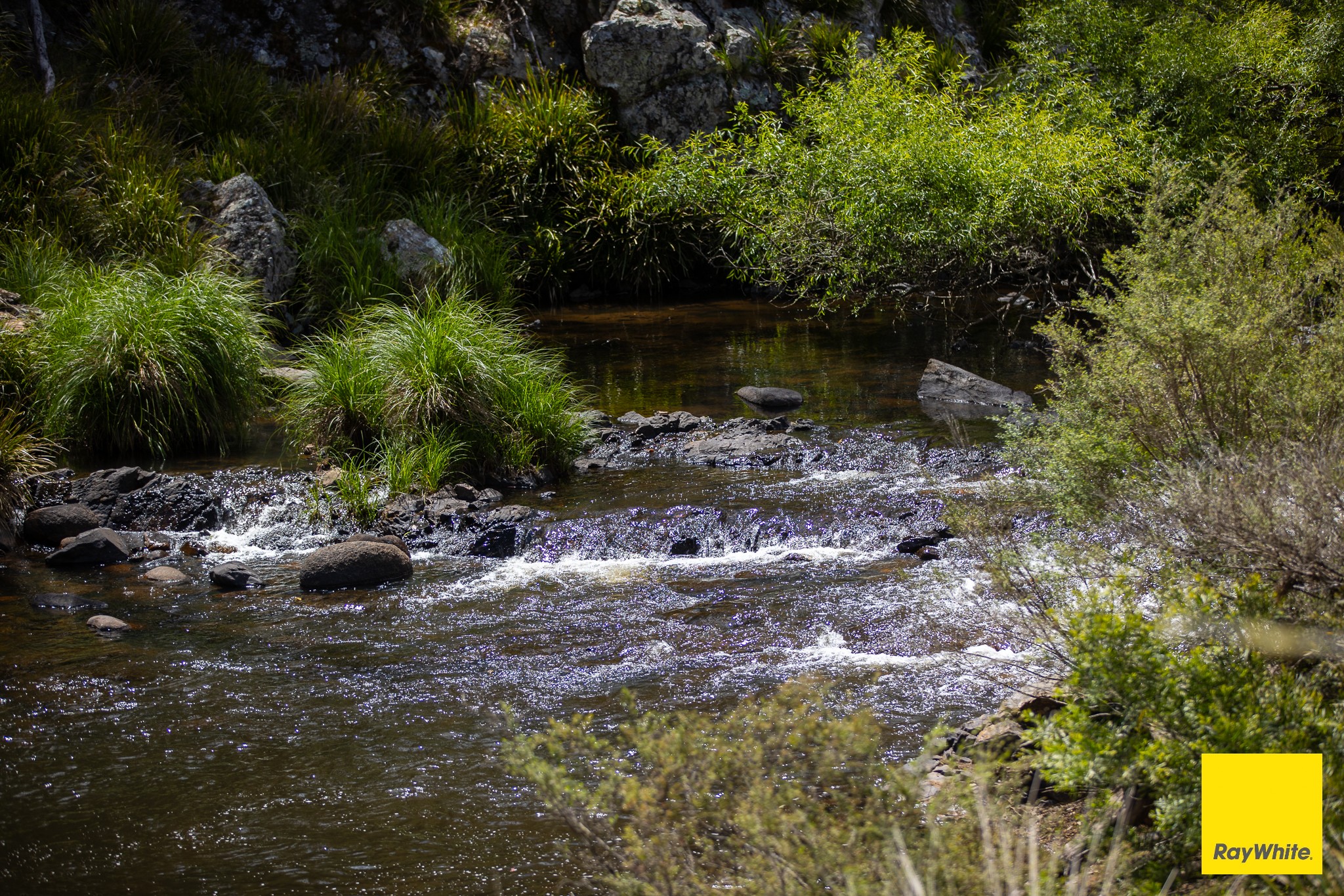 712 Forest Way, Ebor, NSW 2453