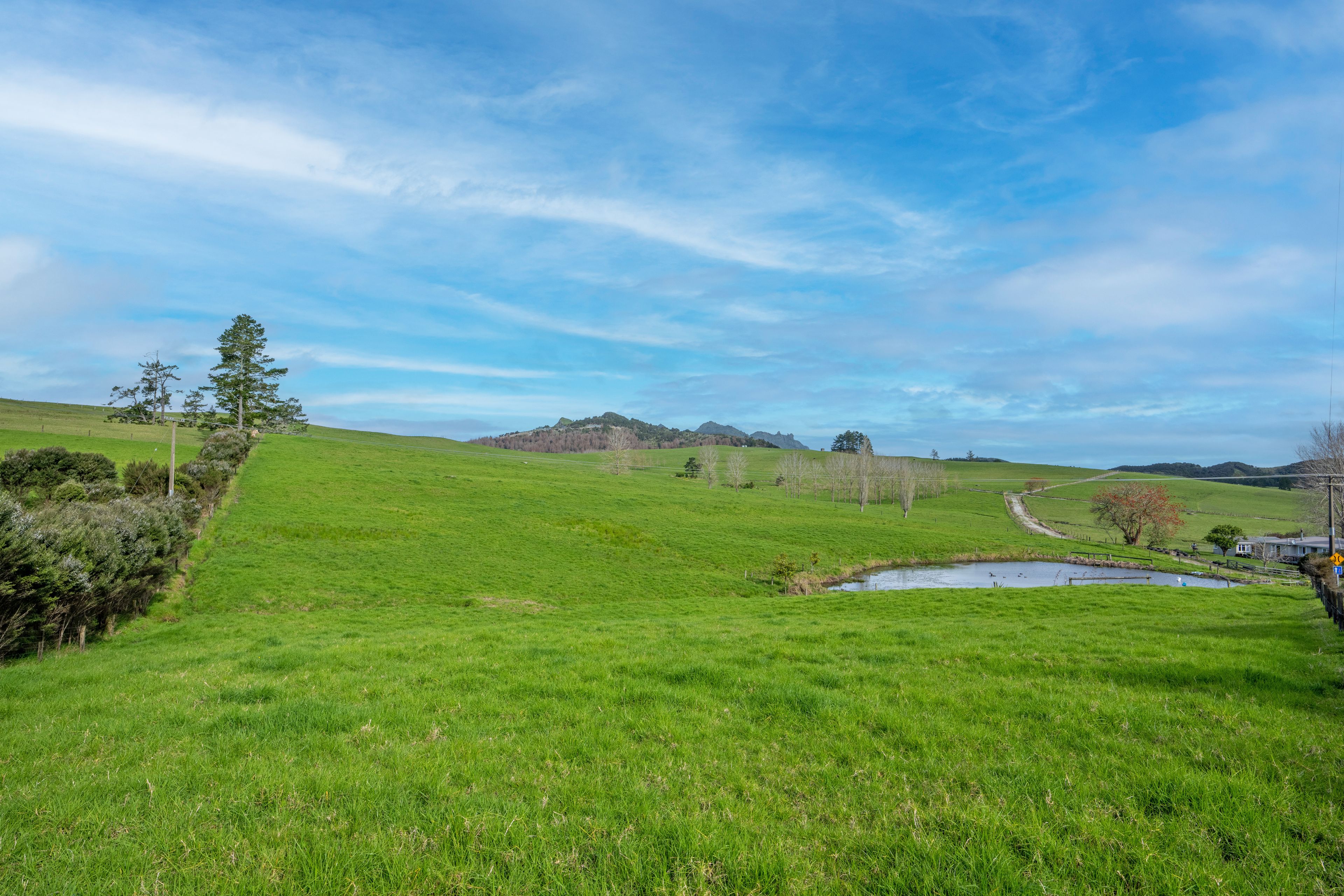 Lot 1, 56 Pataua South Road, Parua Bay, Whangarei District 0174
