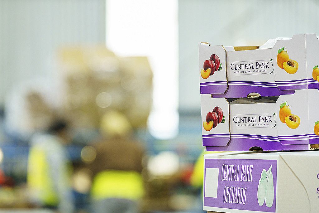 595 Channel Road, Shepparton East, VIC 3631