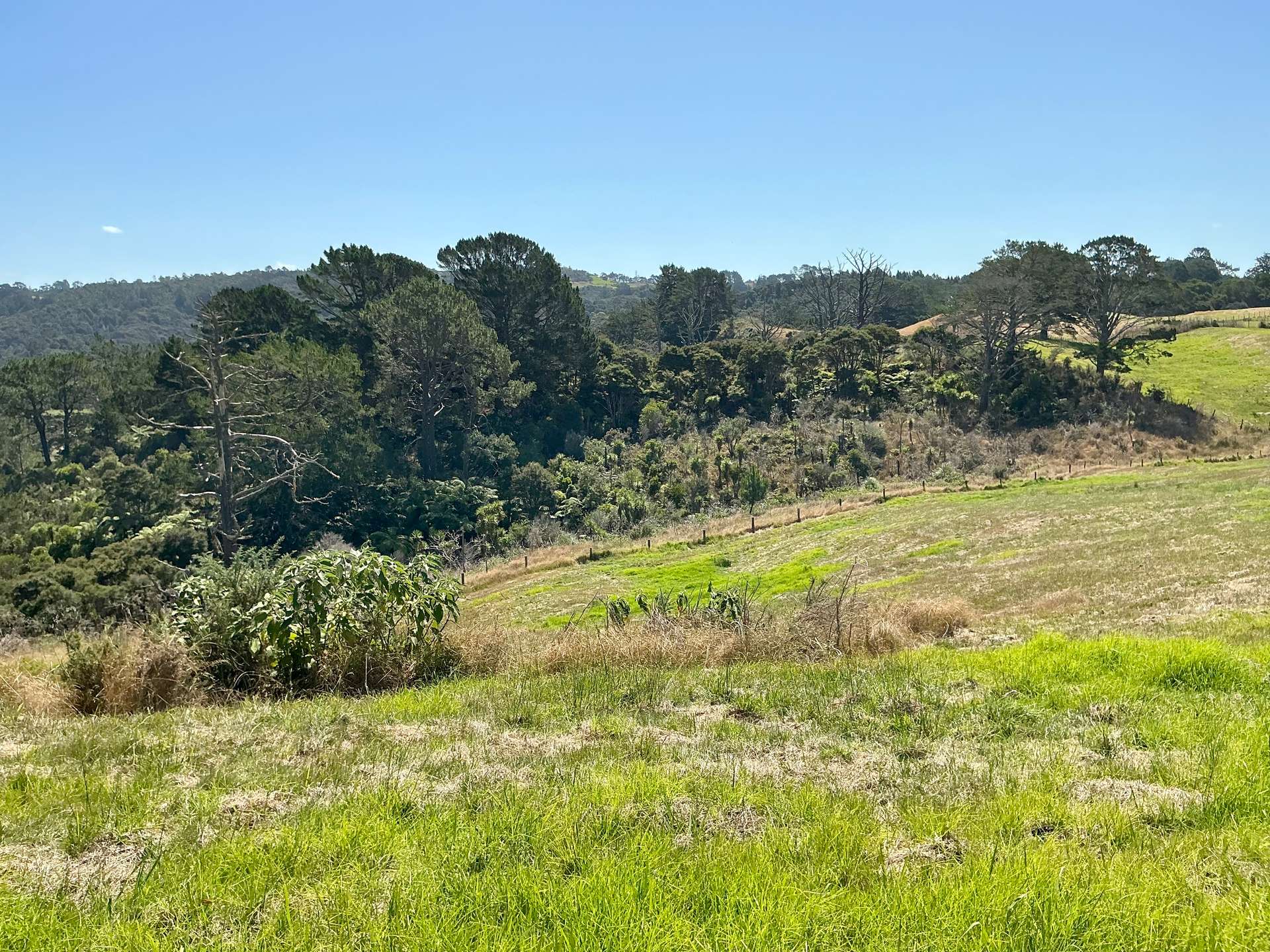 132B Gatfield Road photo 9