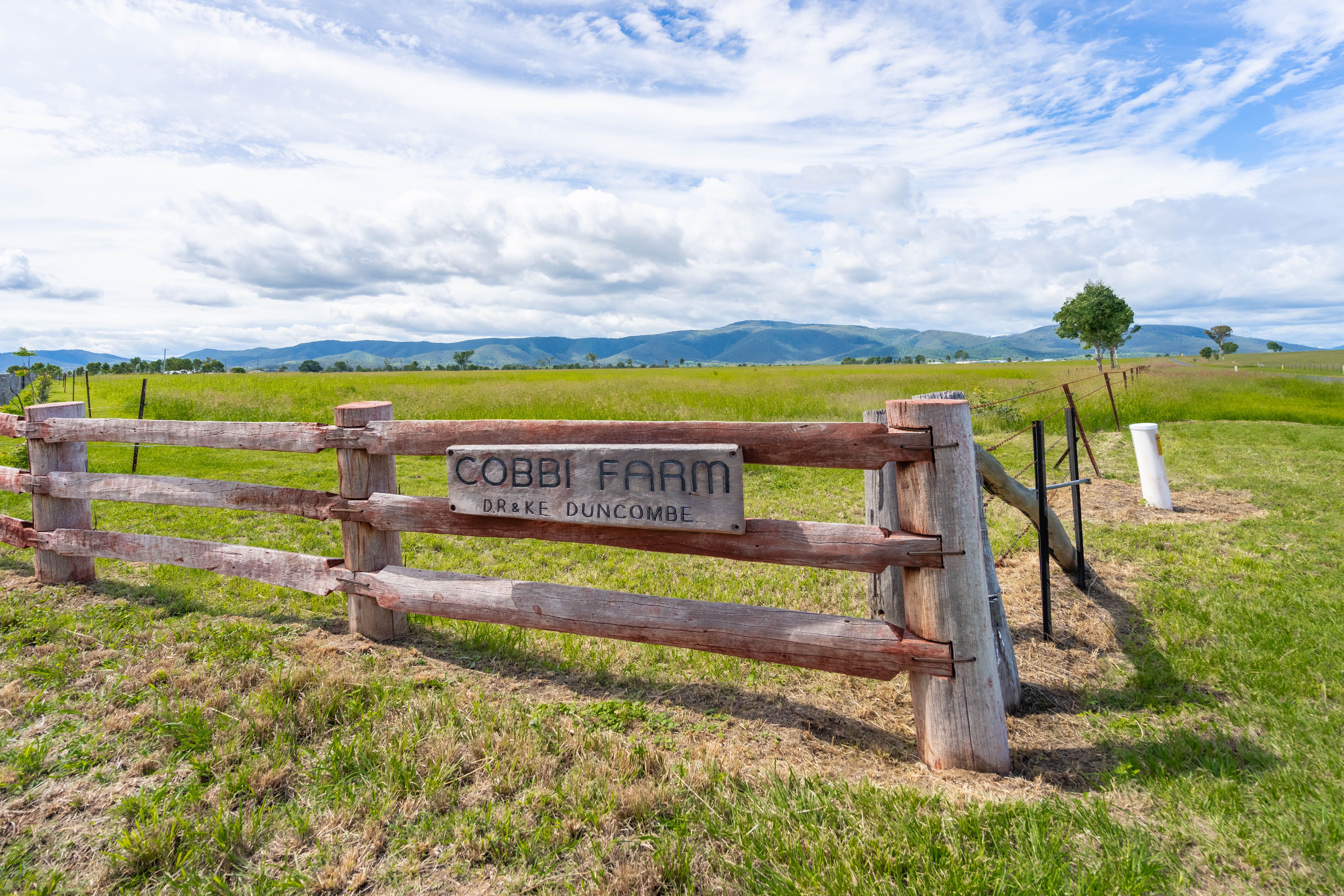 685 Cressbrook Caboonbah Road, Cressbrook, QLD 4313