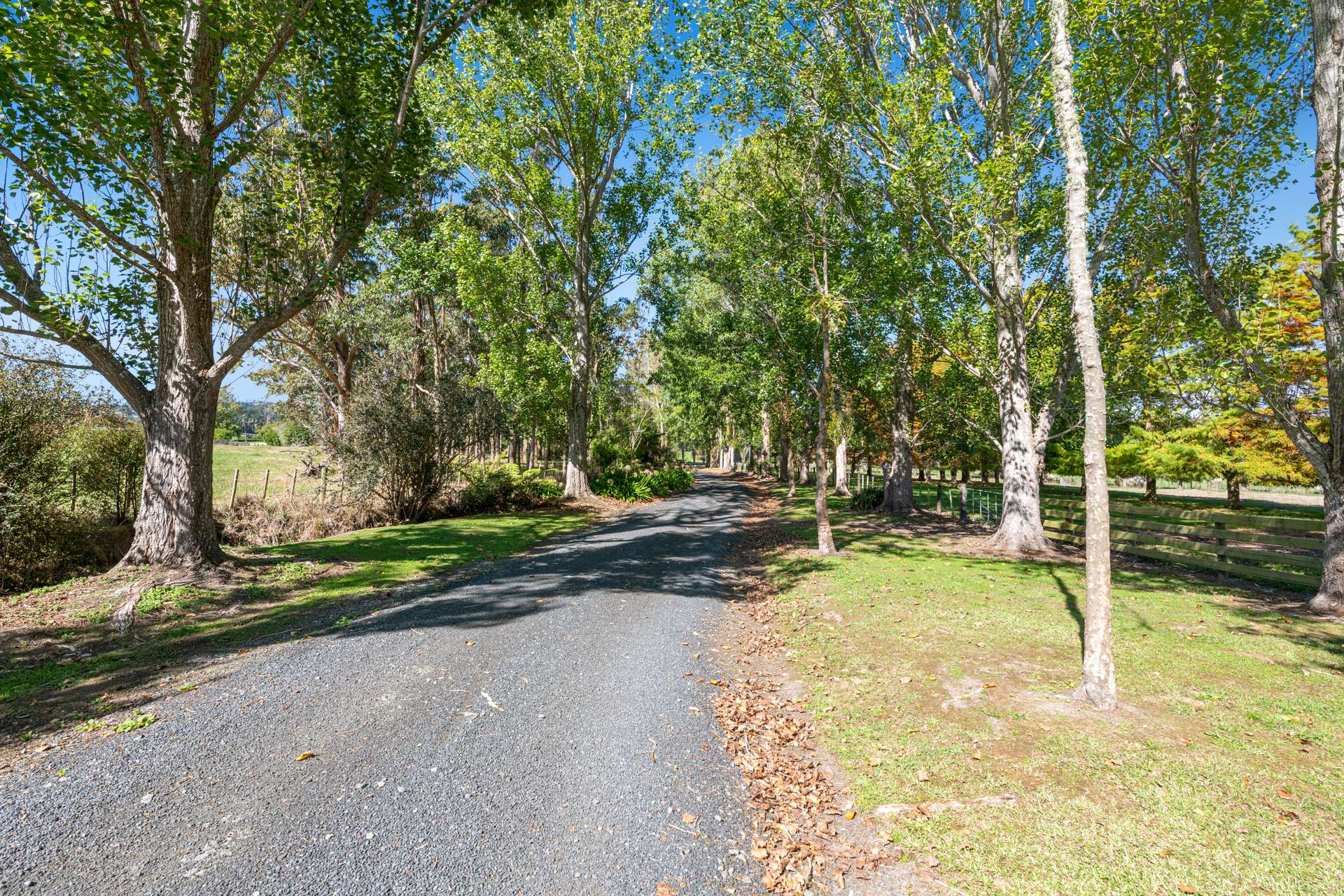 636 Kahikatea Flat Road photo 56