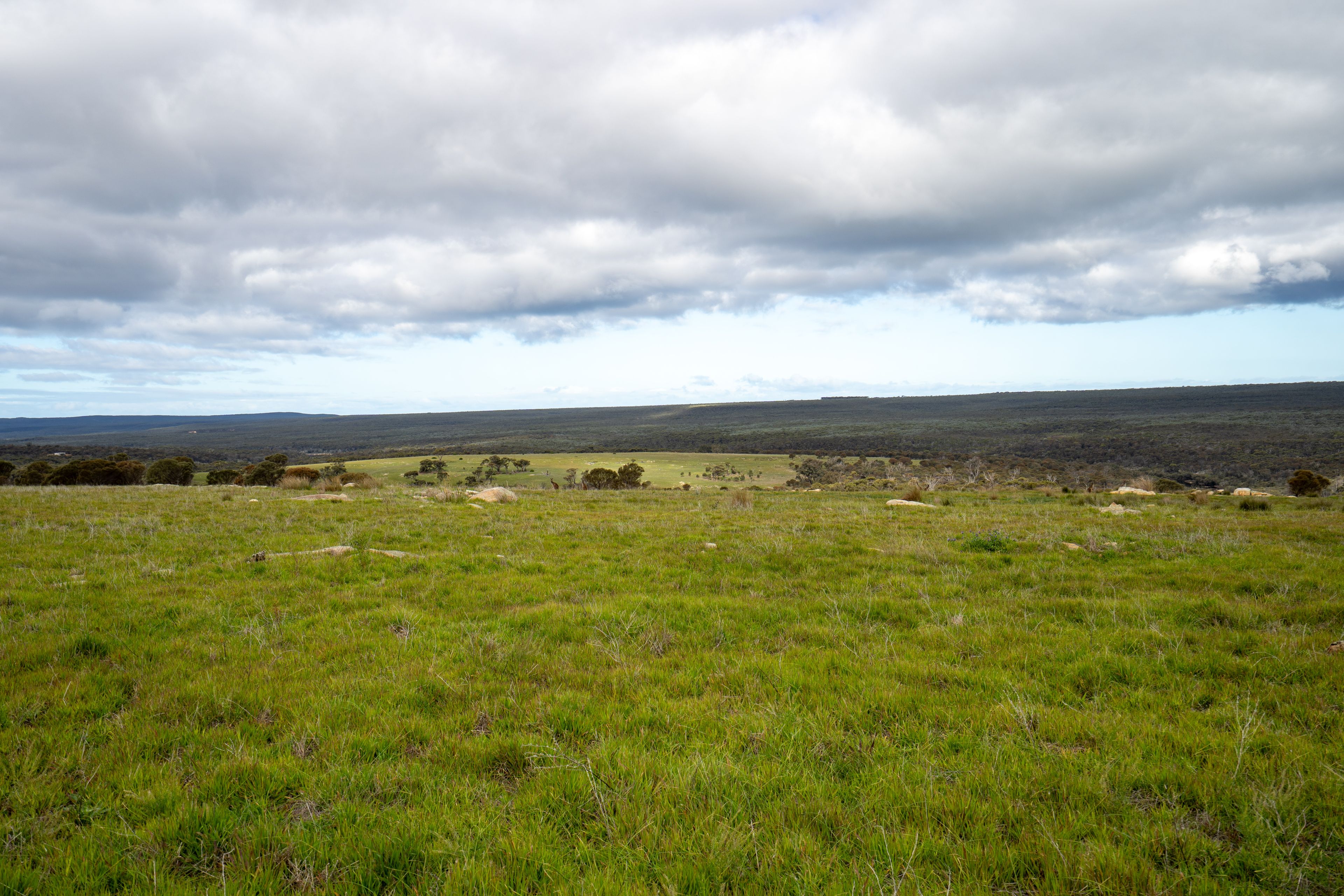 Lot 1895 Pallinup River Estate — photo 17 of 30