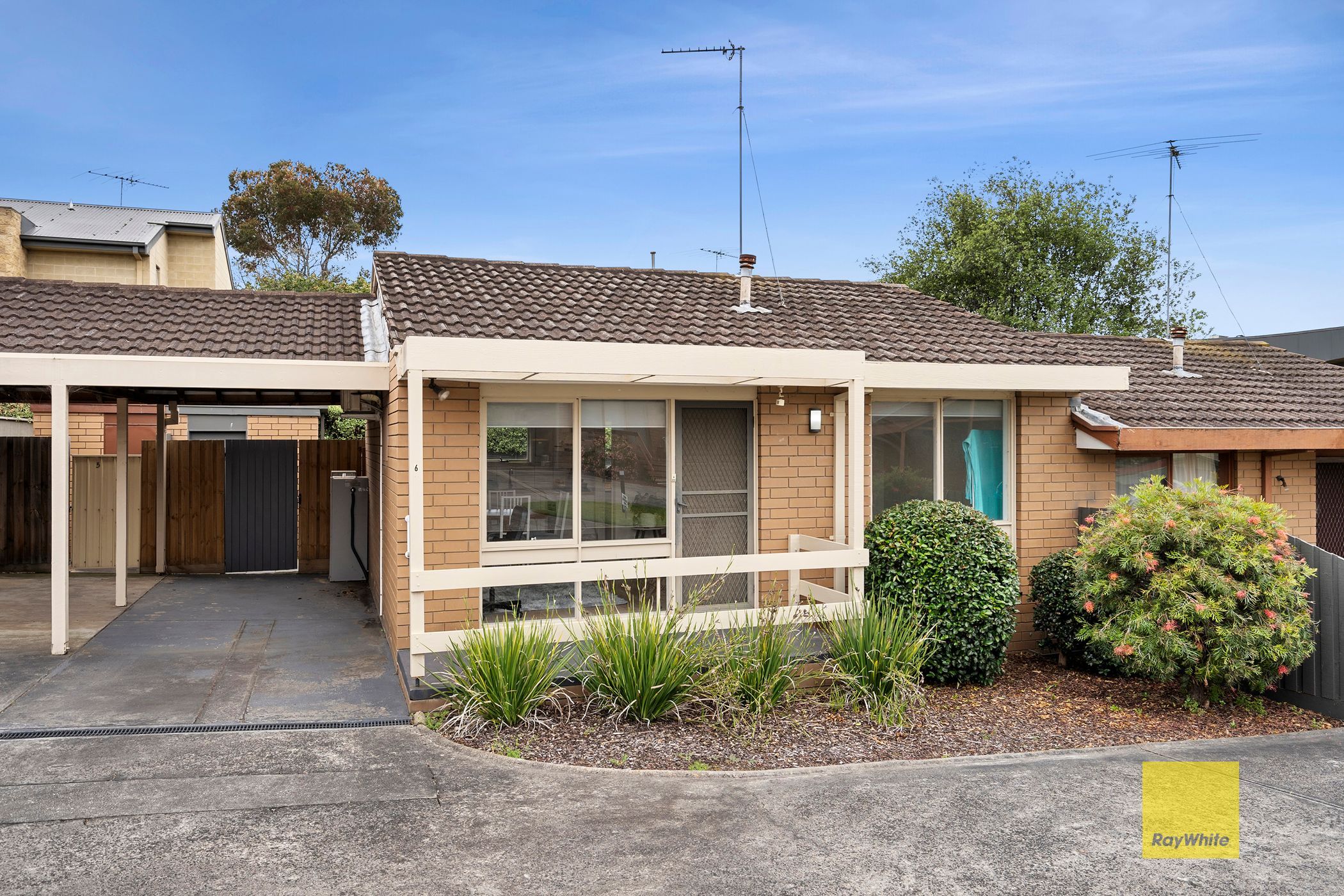 17 Francis Street, Belmont VIC 3216