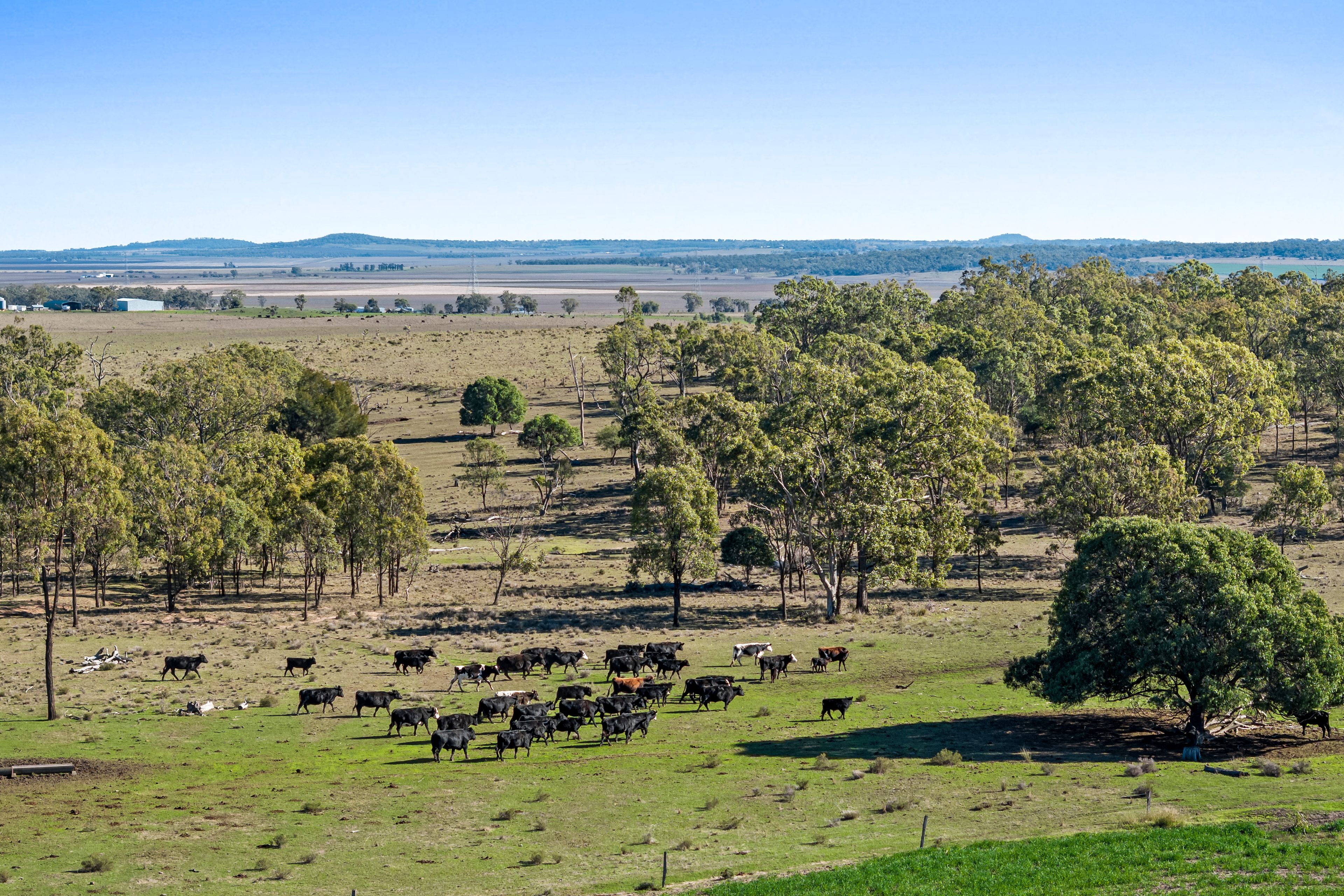 1192 Clifton Pittsworth Road, Felton South, QLD 4358
