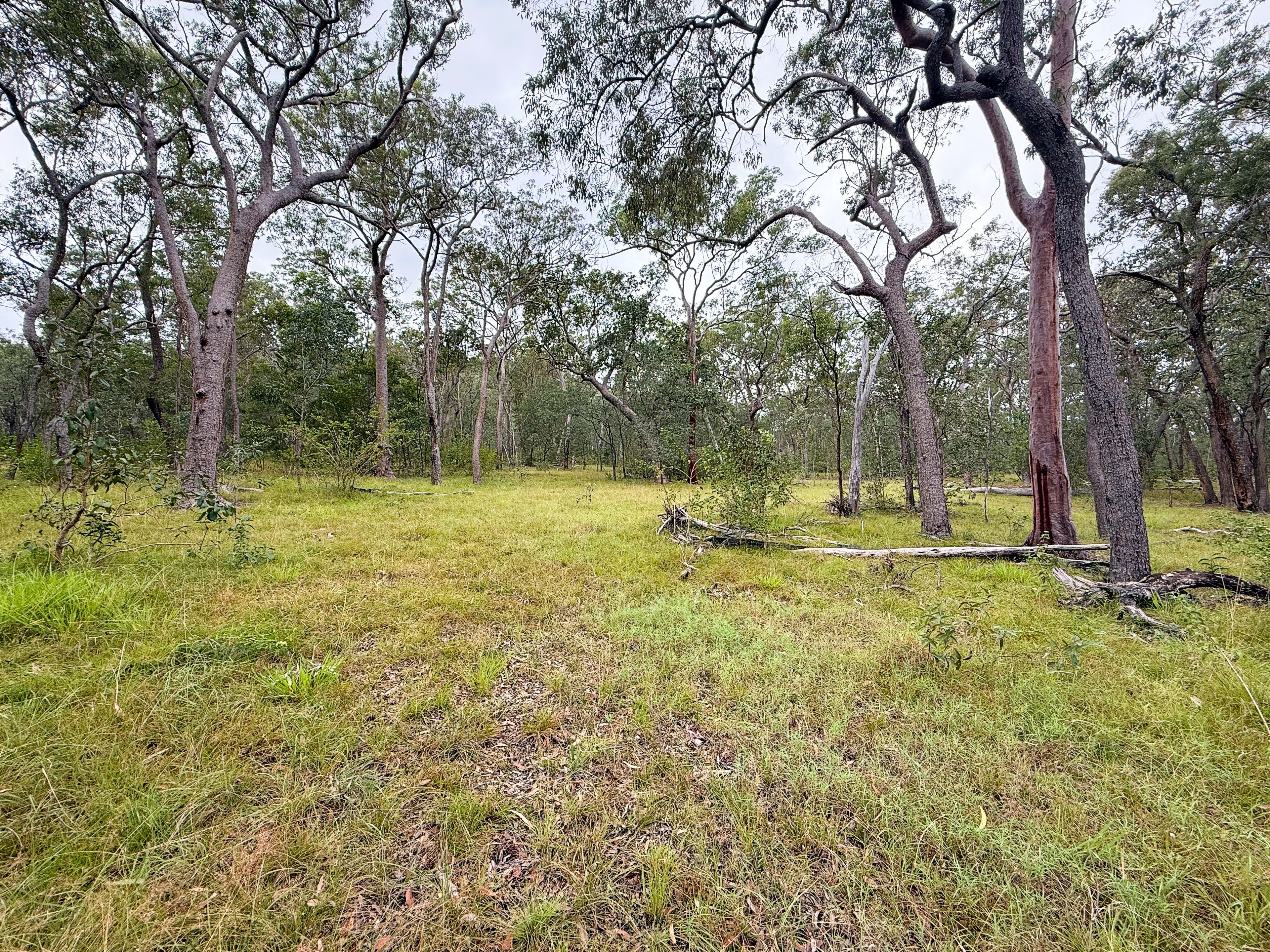 931 Nearum Road, Nearum QLD 4671