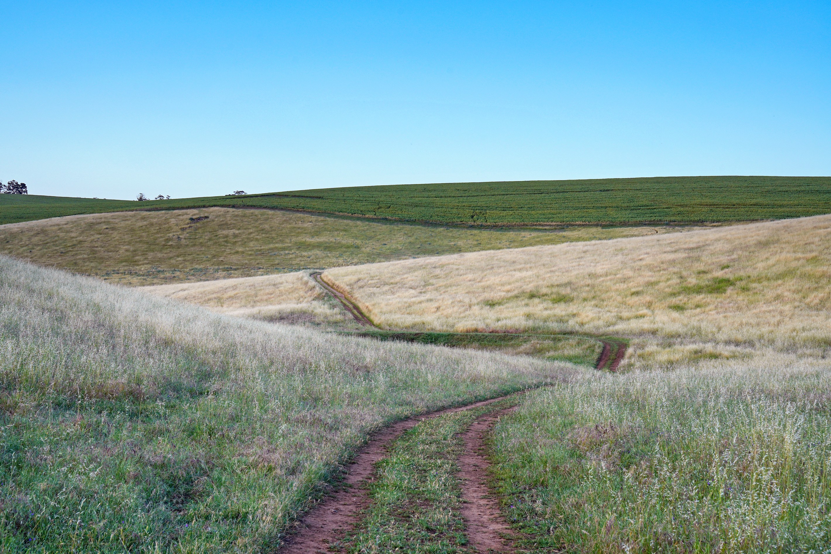 Lot 6 Medlow Road, Uleybury, SA 5114