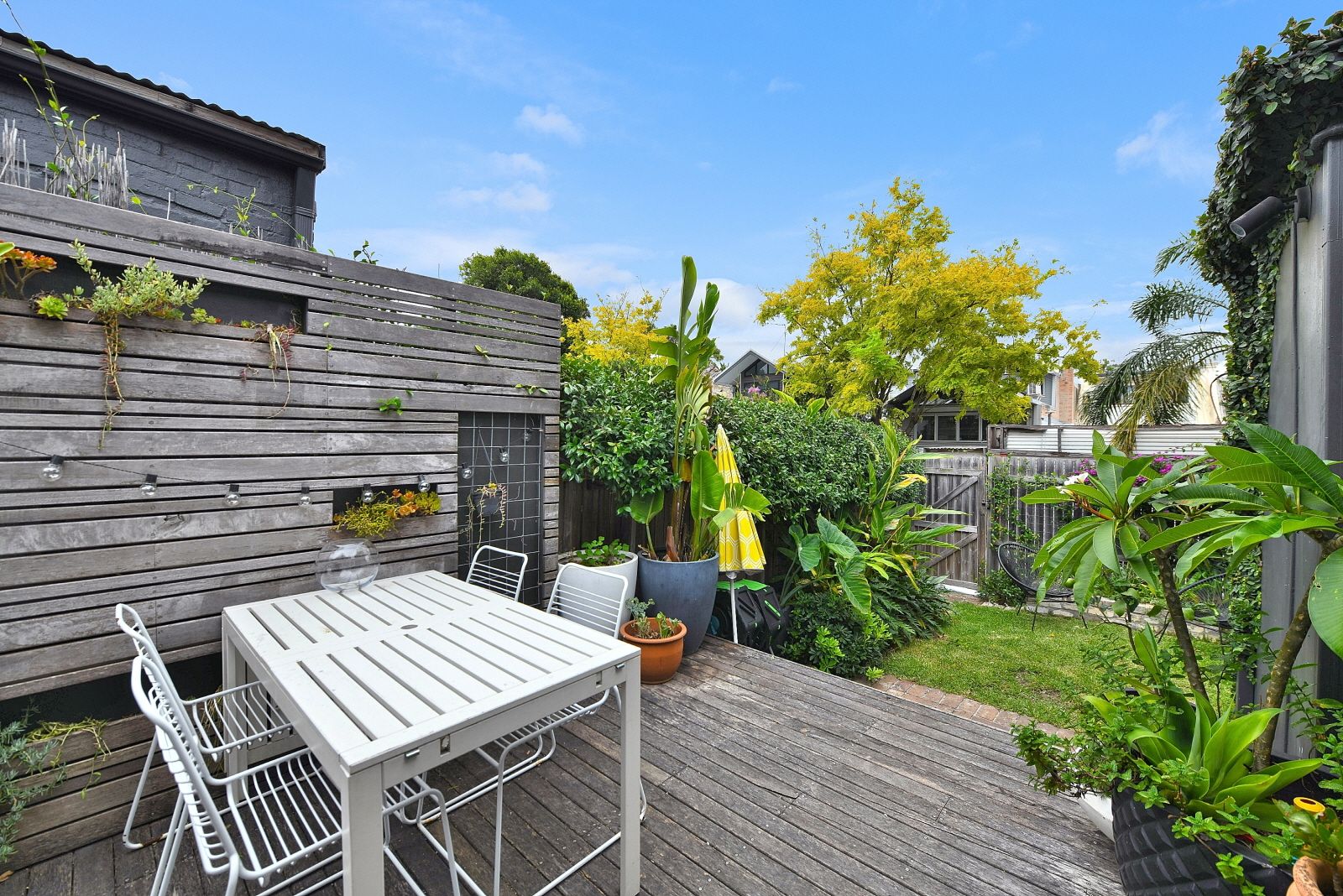 16 Cary Street, Leichhardt, NSW 2040