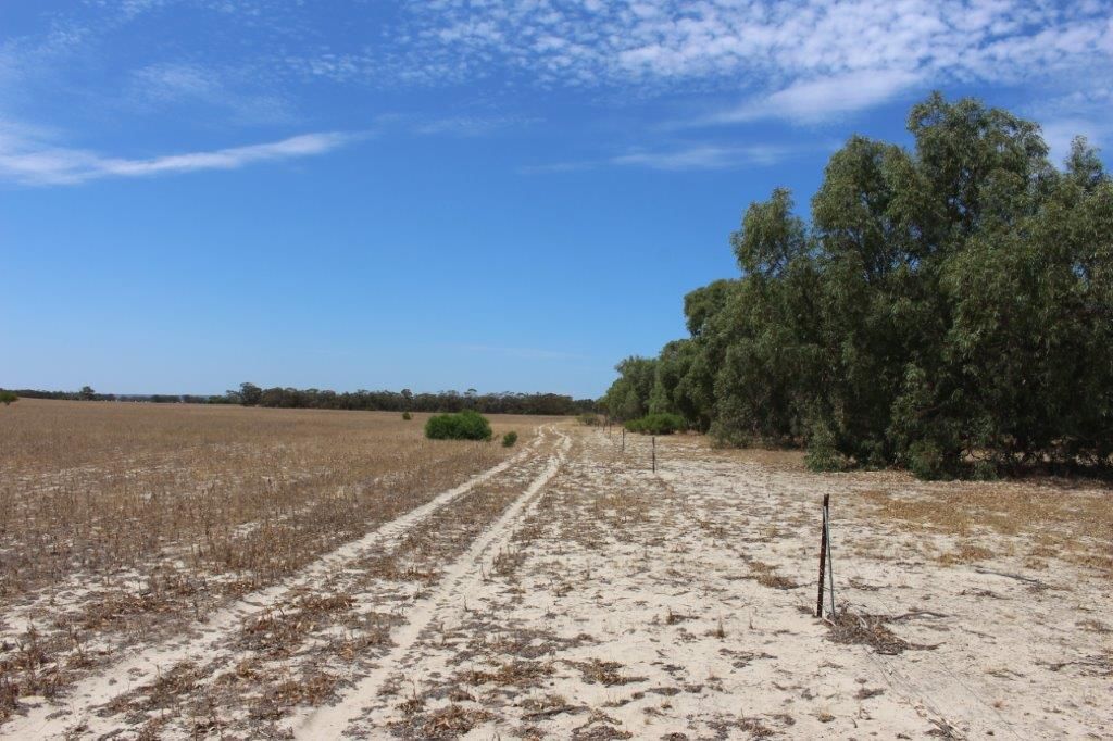 Lot M344 Mt Horner Road, Yardarino, WA 6525