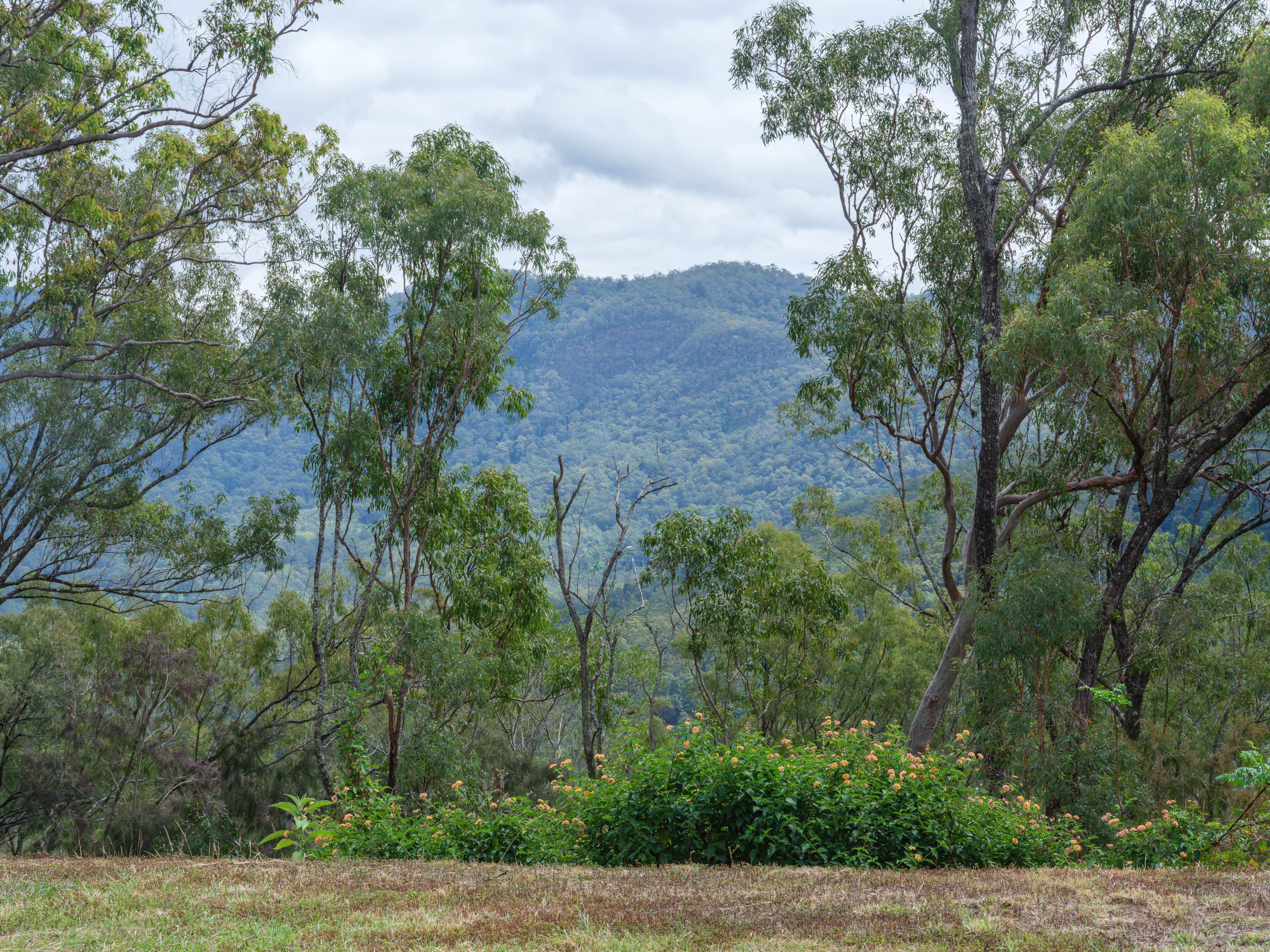 9.98 Hectares of Opportunity — photo 3 of 14