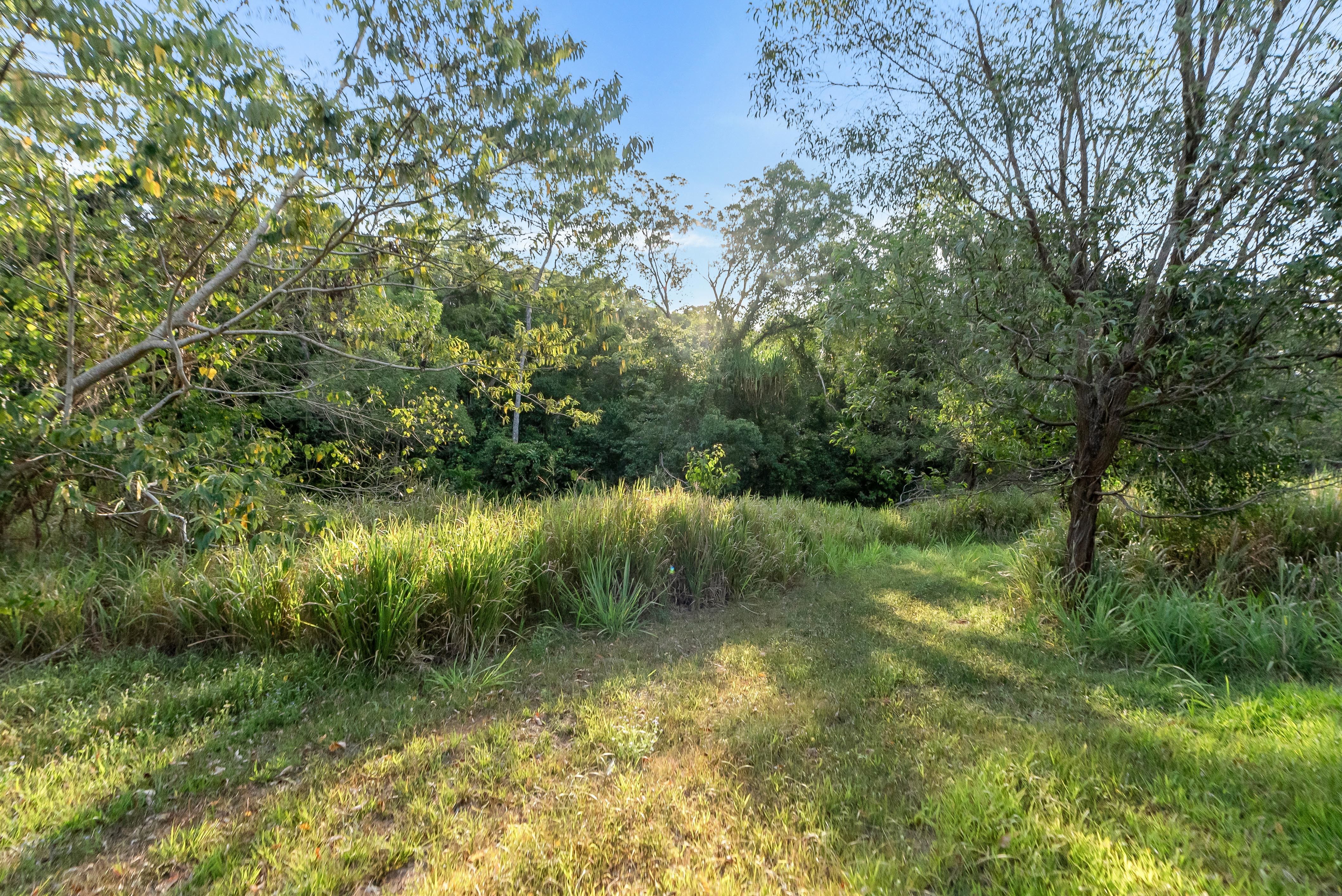 Create Your Idyllic Lifestyle to Include Future Potential Income on 342 acres — photo 25 of 30