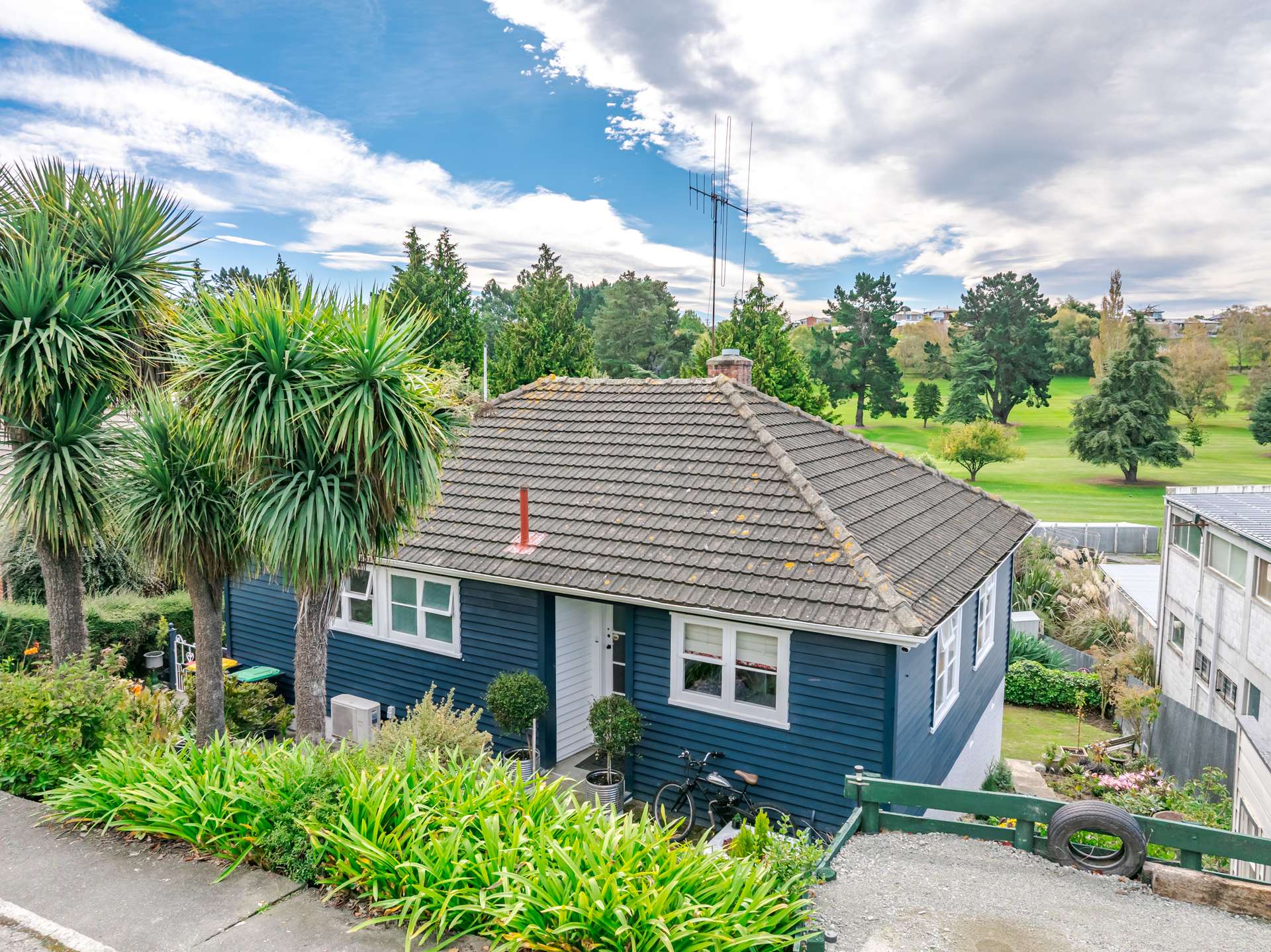 121 Douglas Street photo 21