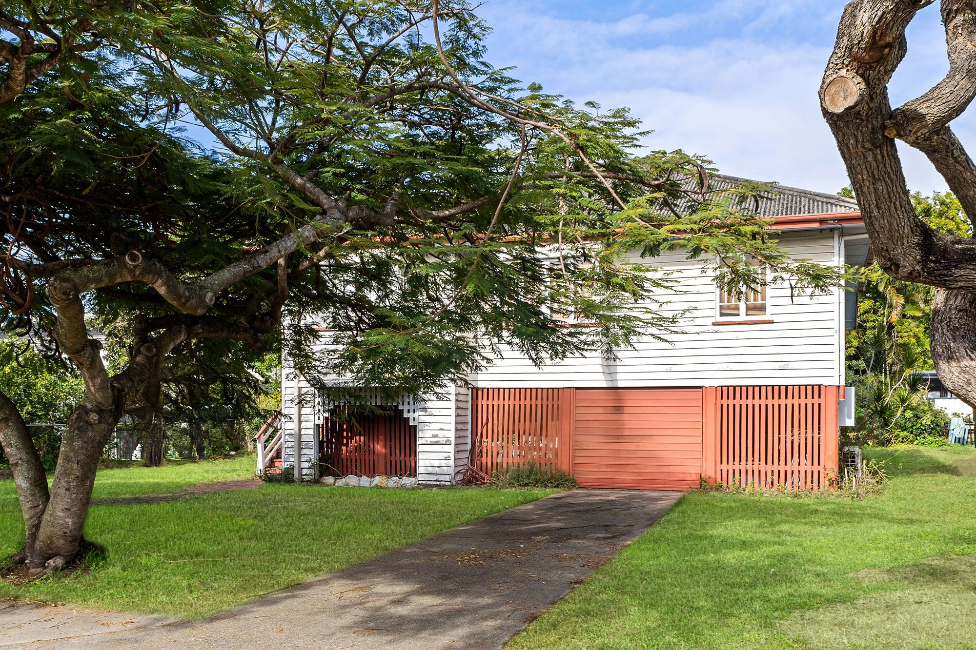 40 Belvedere Street — photo 5 of 12