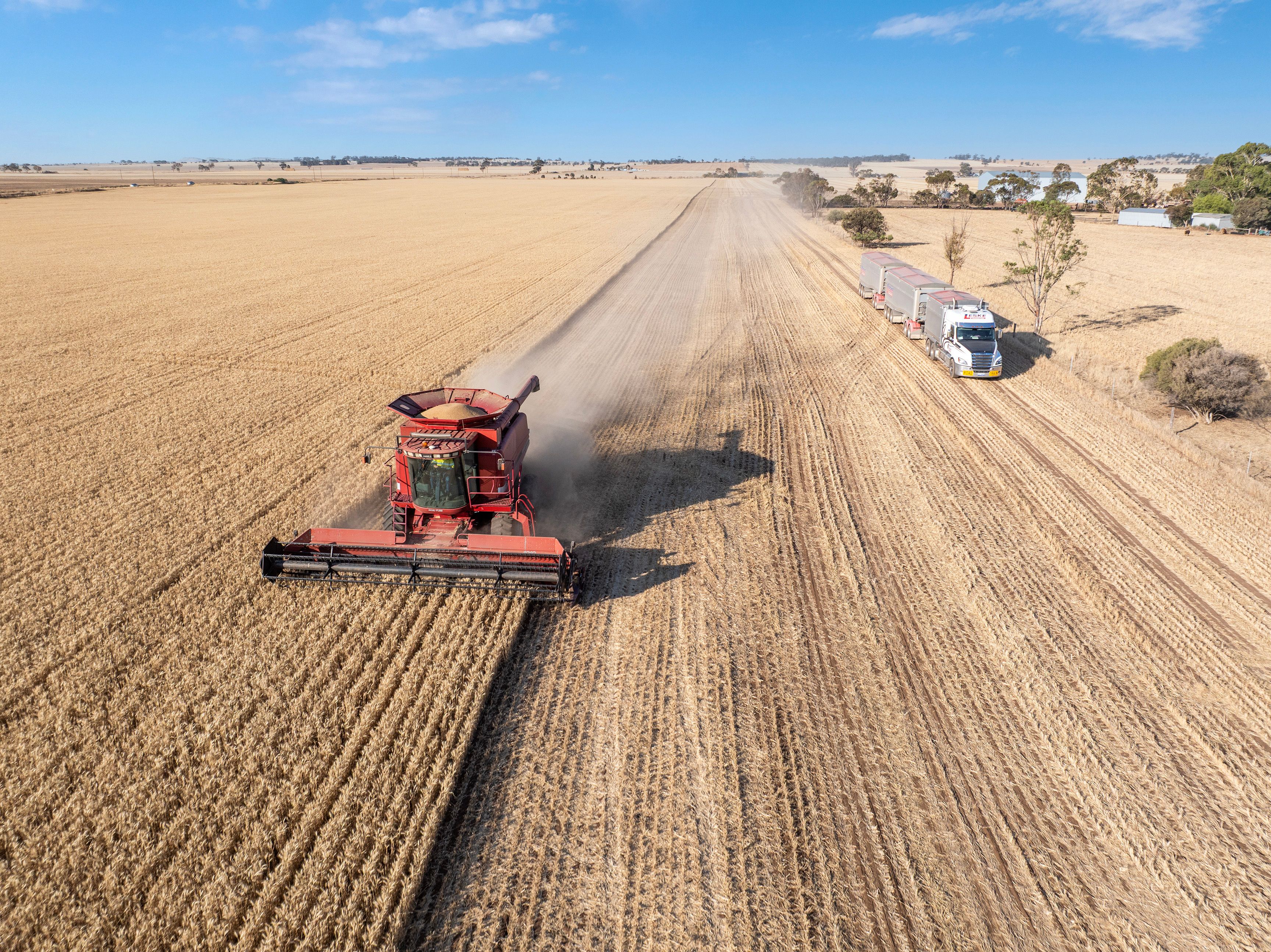 'Leske Farm' Thiele Highway, Freeling, SA 5372