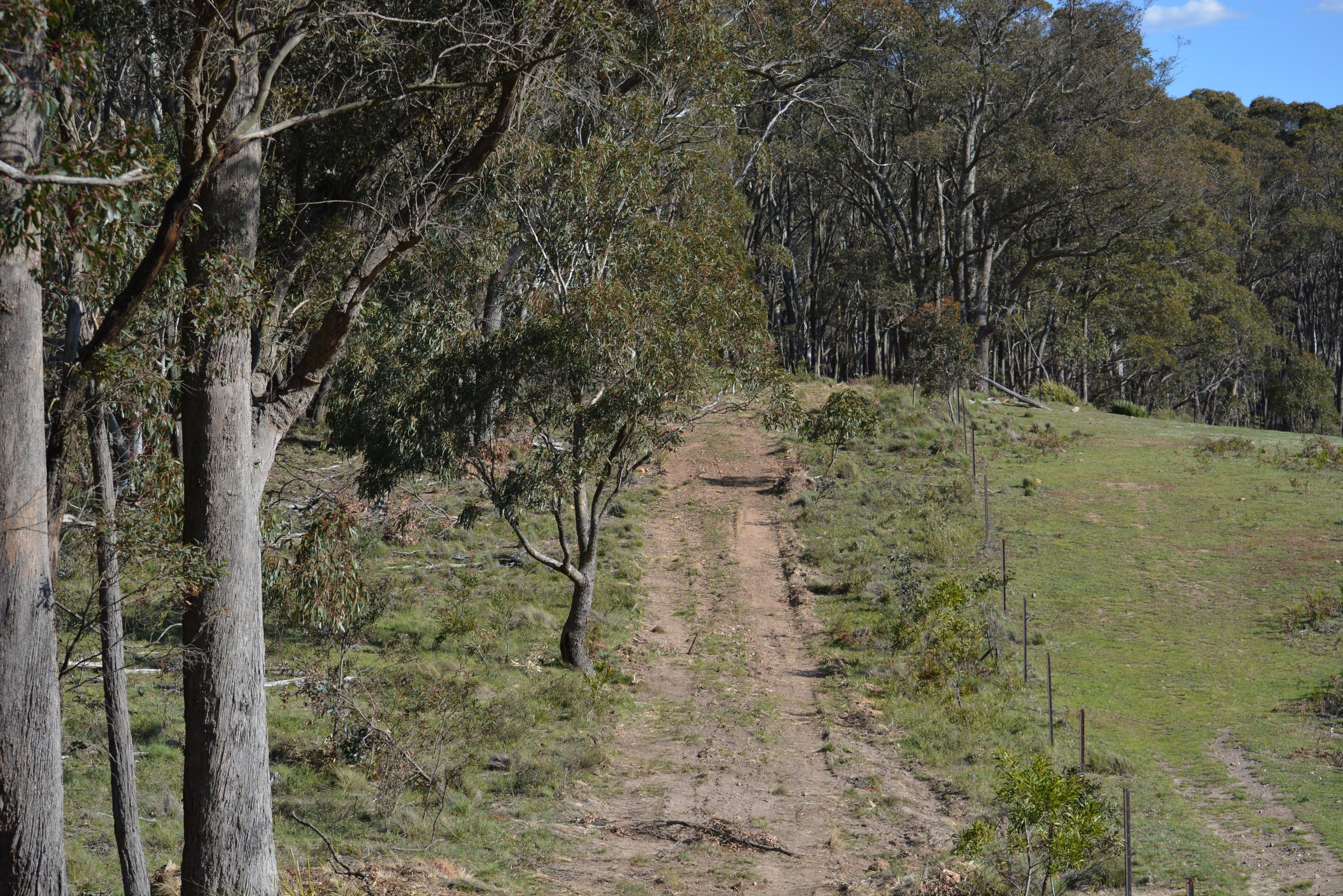 1812 Wombeyan Caves Road, Taralga, NSW 2580