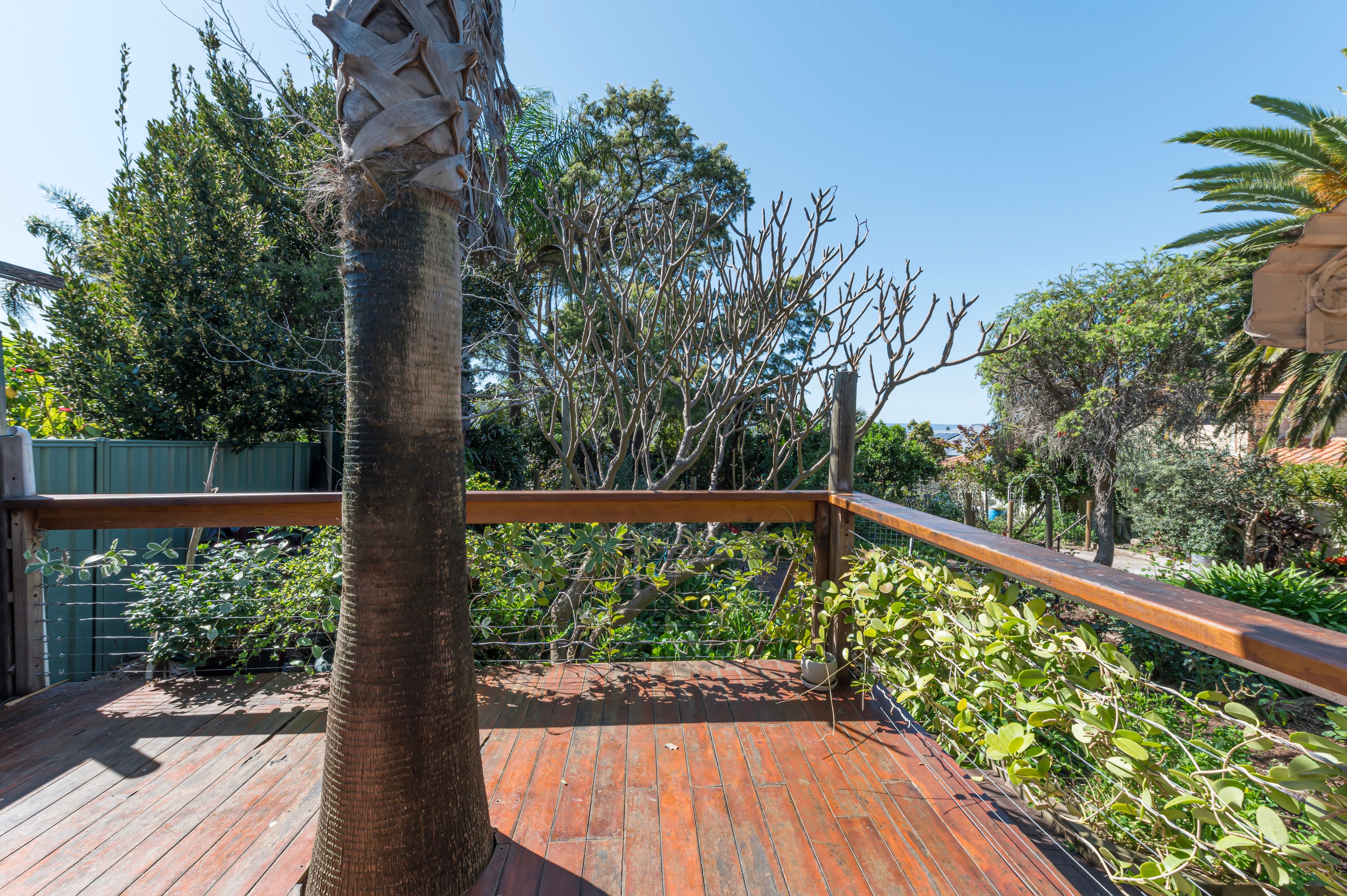 82 Banksia Street — photo 17 of 25