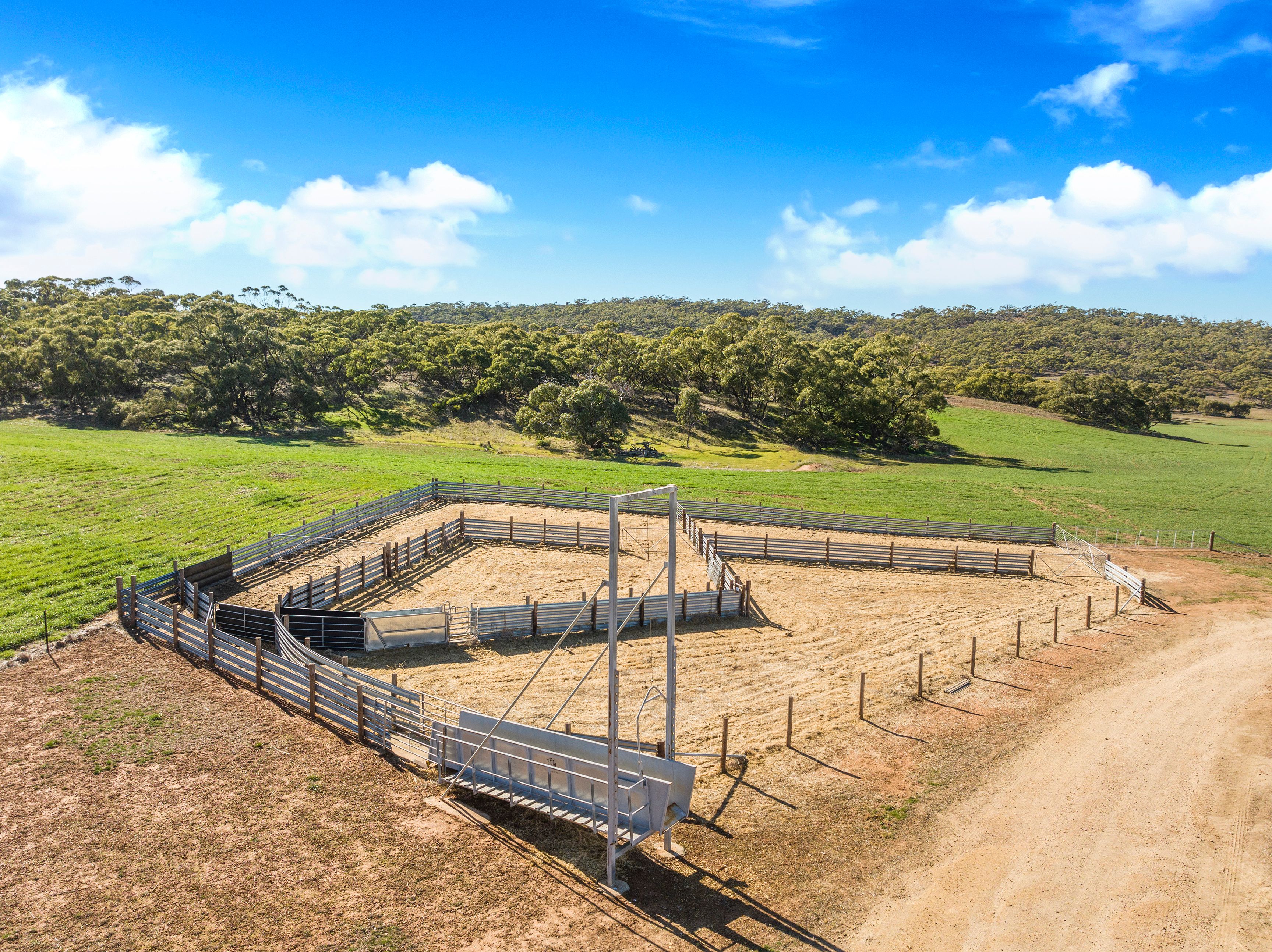 'Gum View Hills' Road, Pekina, SA 5431 Rural Mixed Farming
