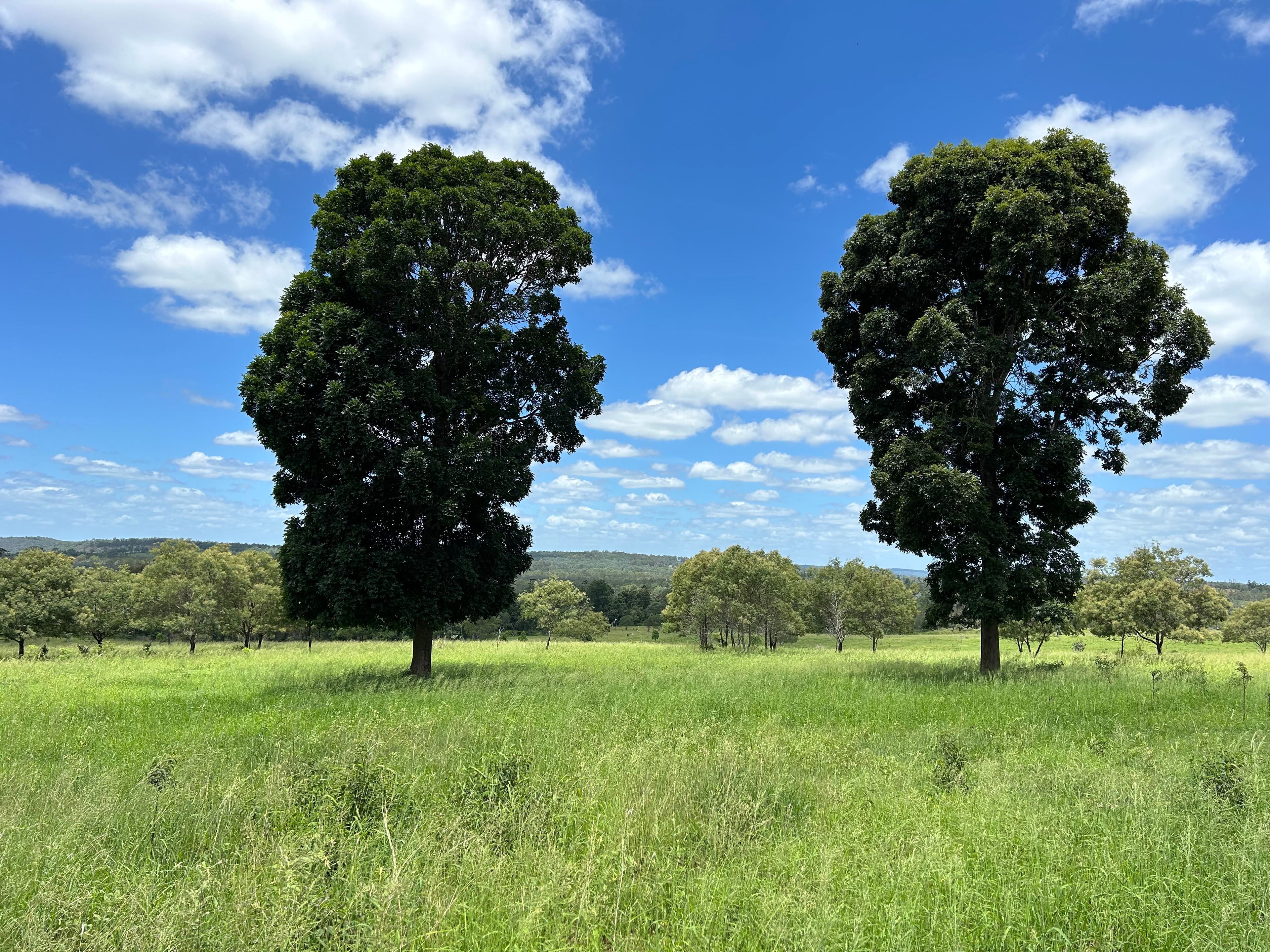 LOT 54 Gibsons Road, Yarraman, QLD 4614 Rural Property for Sale Ray