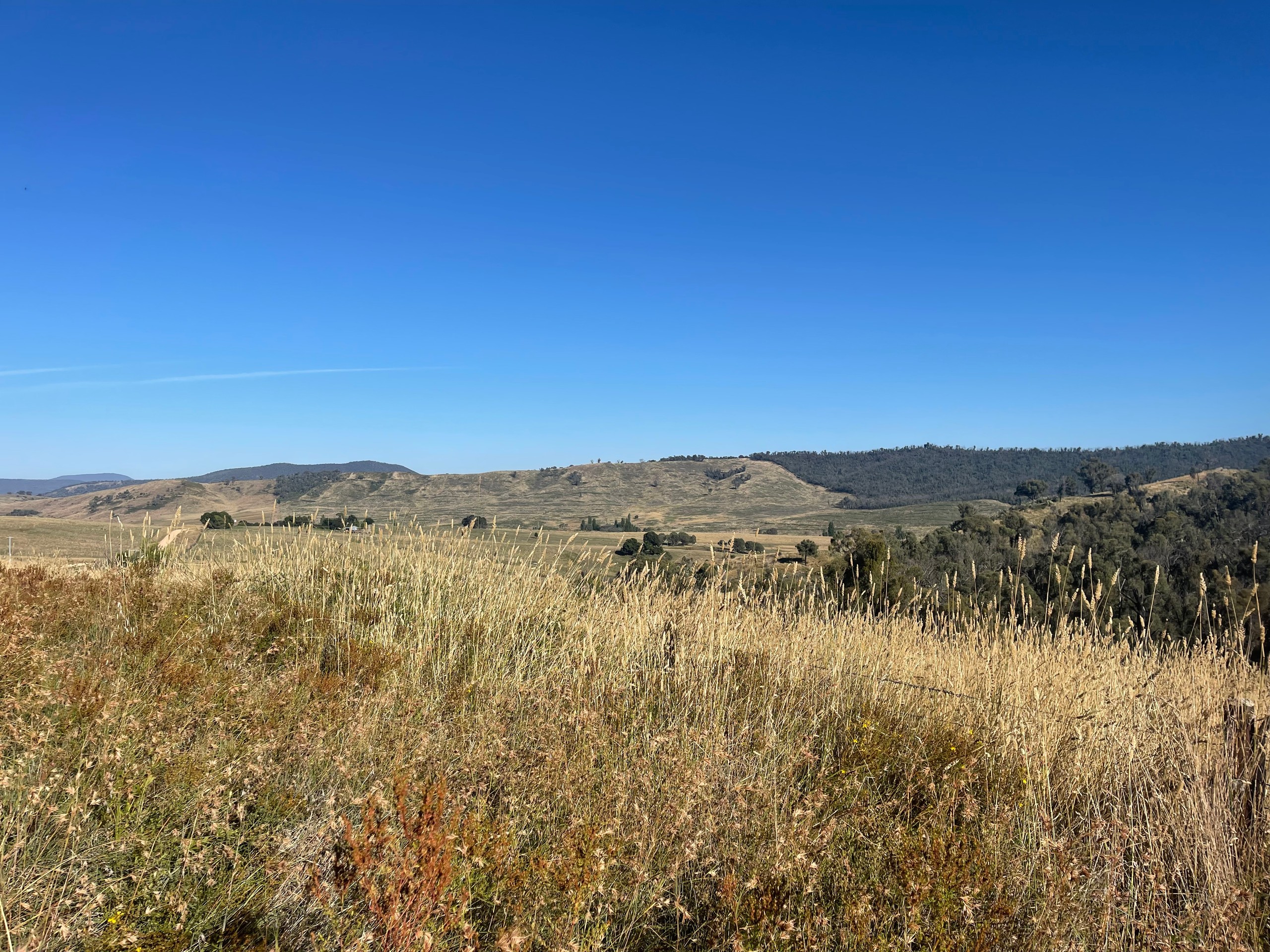 1230 Maragle Road, Maragle, NSW 2653