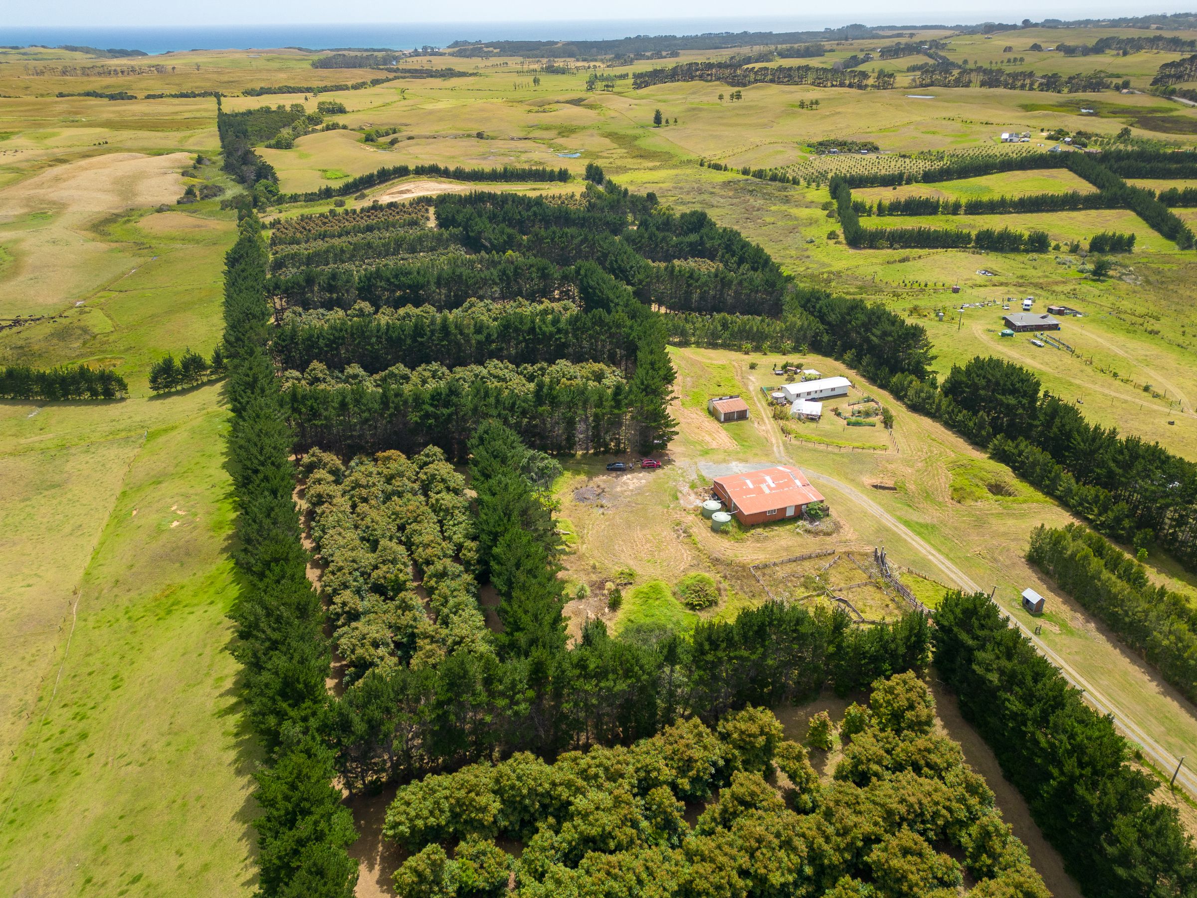 5126 State Highway One, Ngataki,