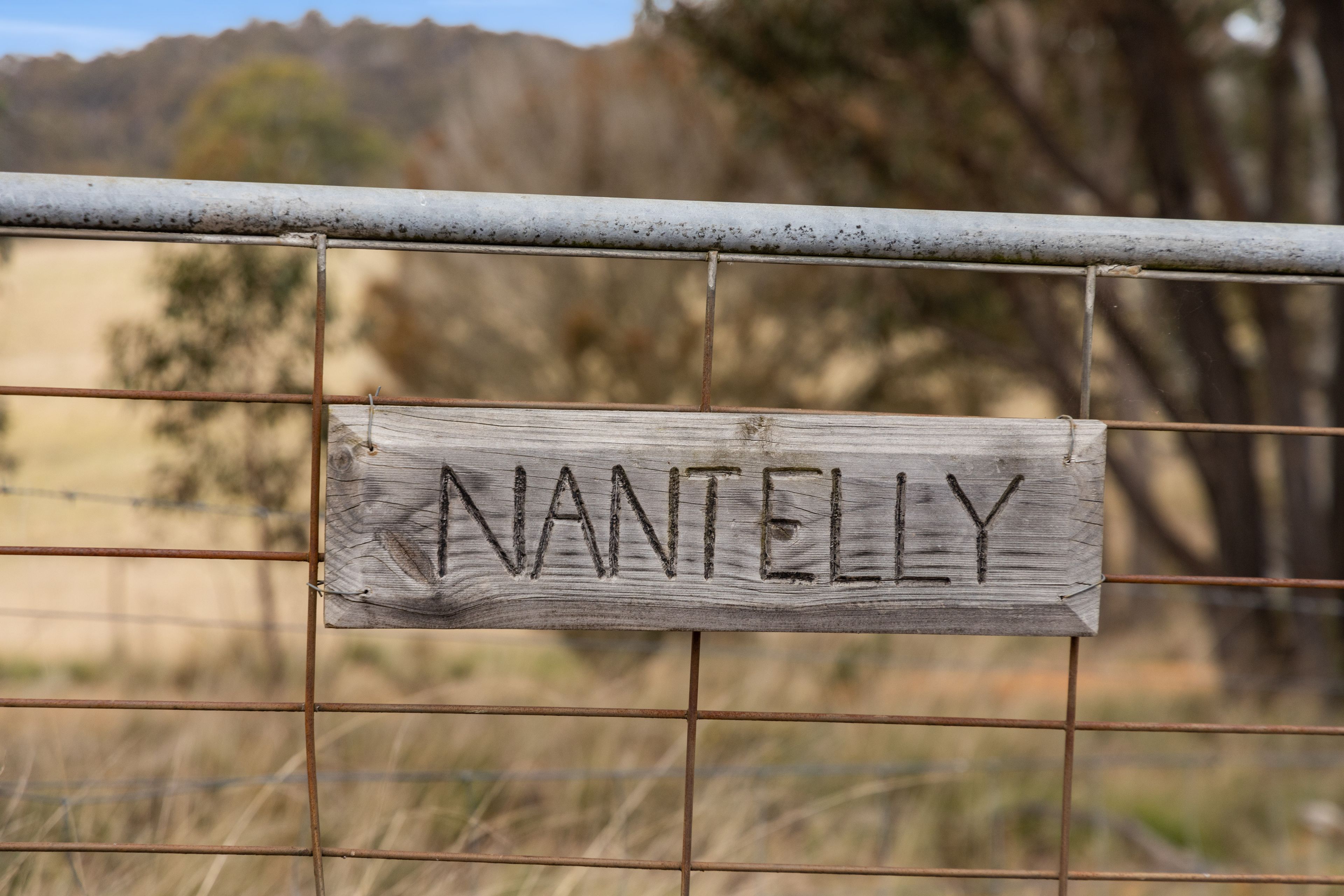 132 Perry Lane, GOULBURN, NSW 2580