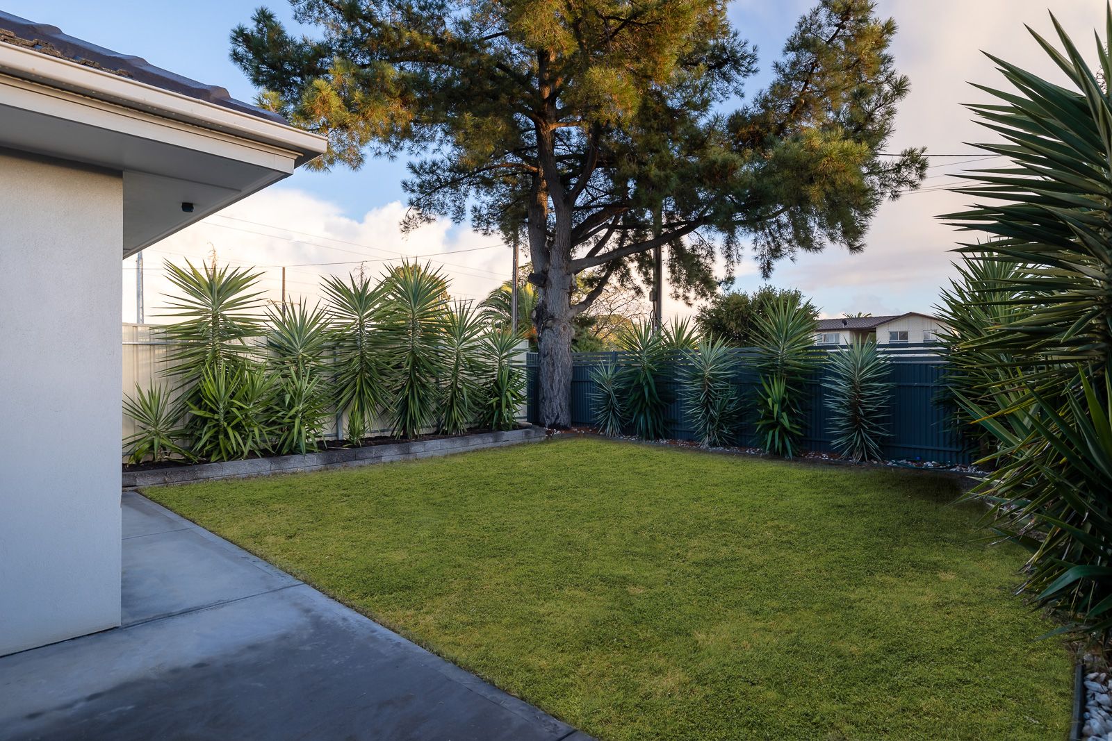 30 Thirza Avenue, Mitchell Park, SA 5043
