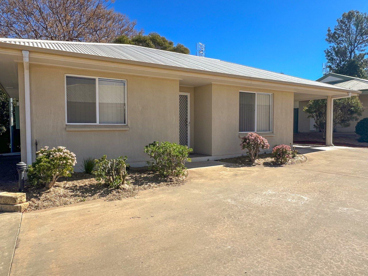 1/2A Wilga Street — photo from Ray White Parkes