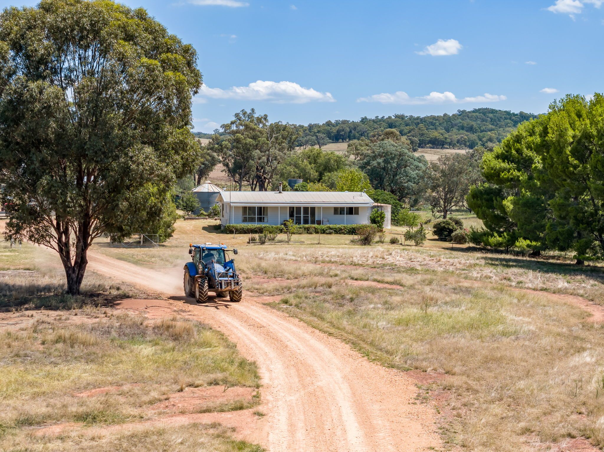 "Sunnyside" "Sunnyside" 664 Mcdonalds Lane, Grenfell, NSW 2810 Rural Cropping Property for