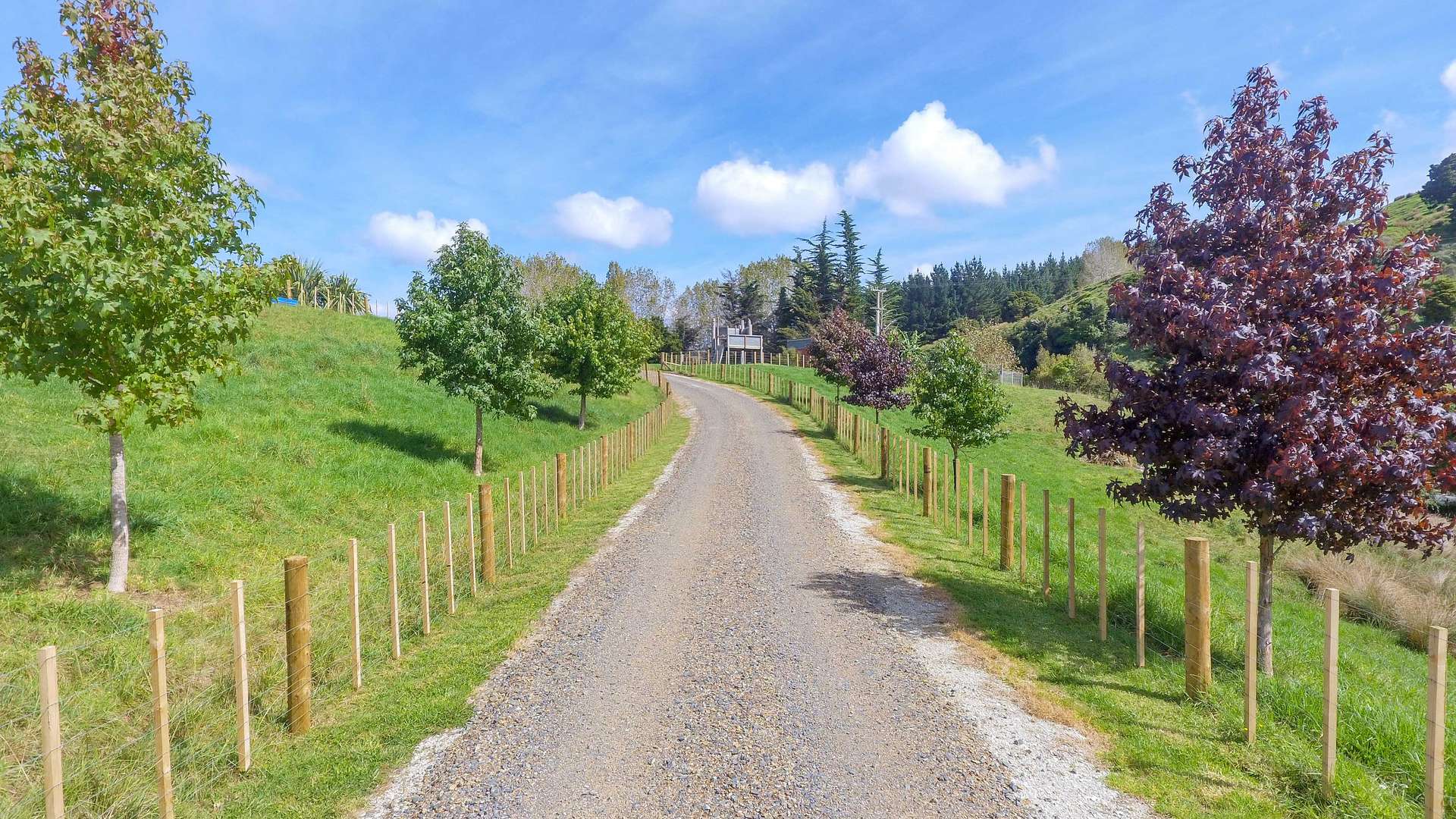 1491 Ahuroa Road, Ahuroa, Rodney Real Estate Ray White New Zealand