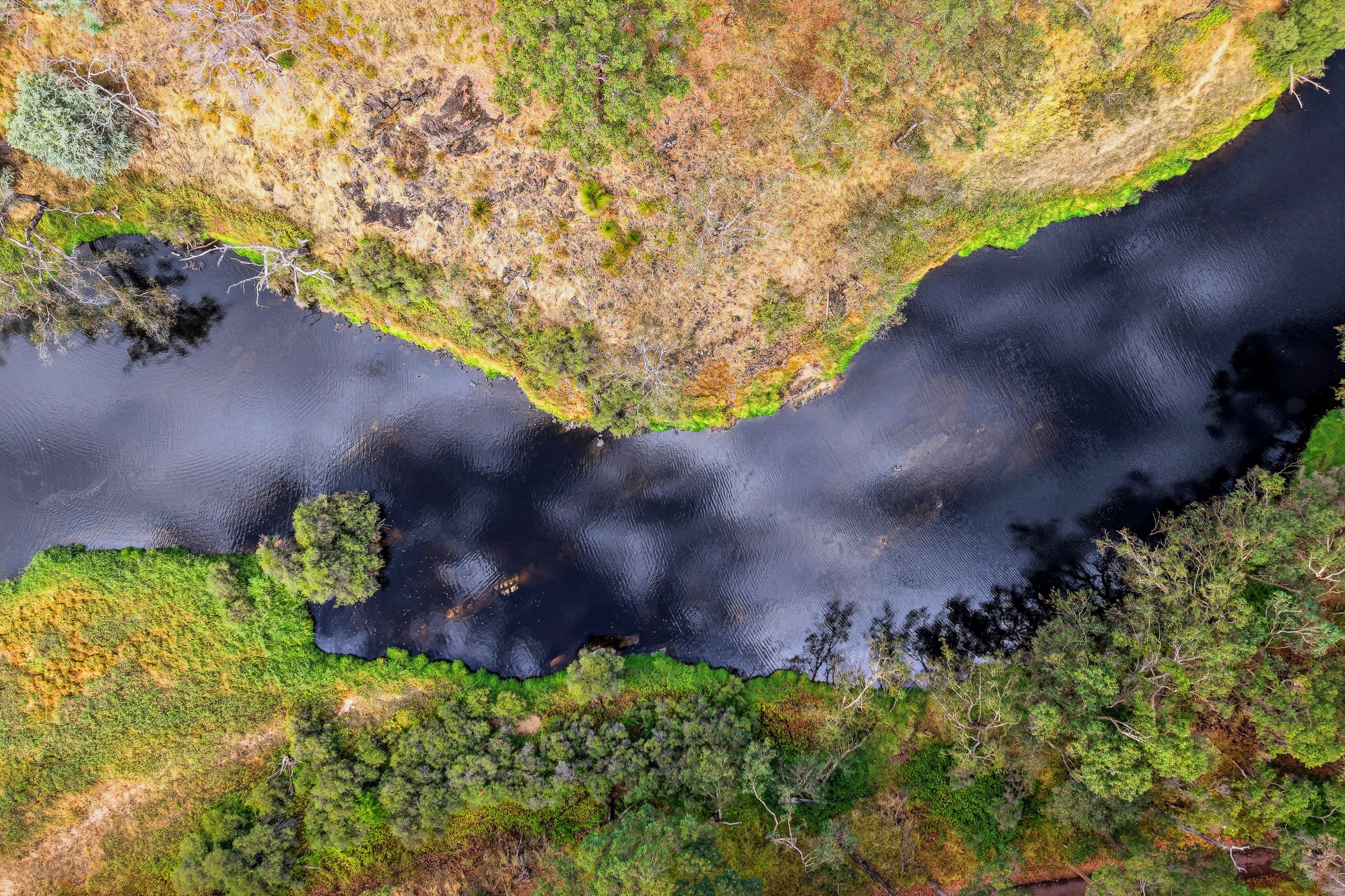 19 West Blackwood Terrace, Bridgetown, WA 6255