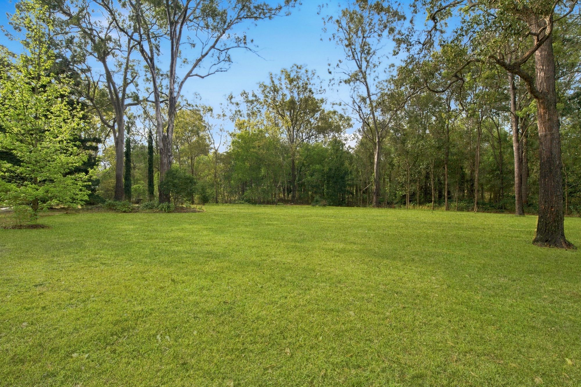 267 Palomino Road — photo 8 of 8