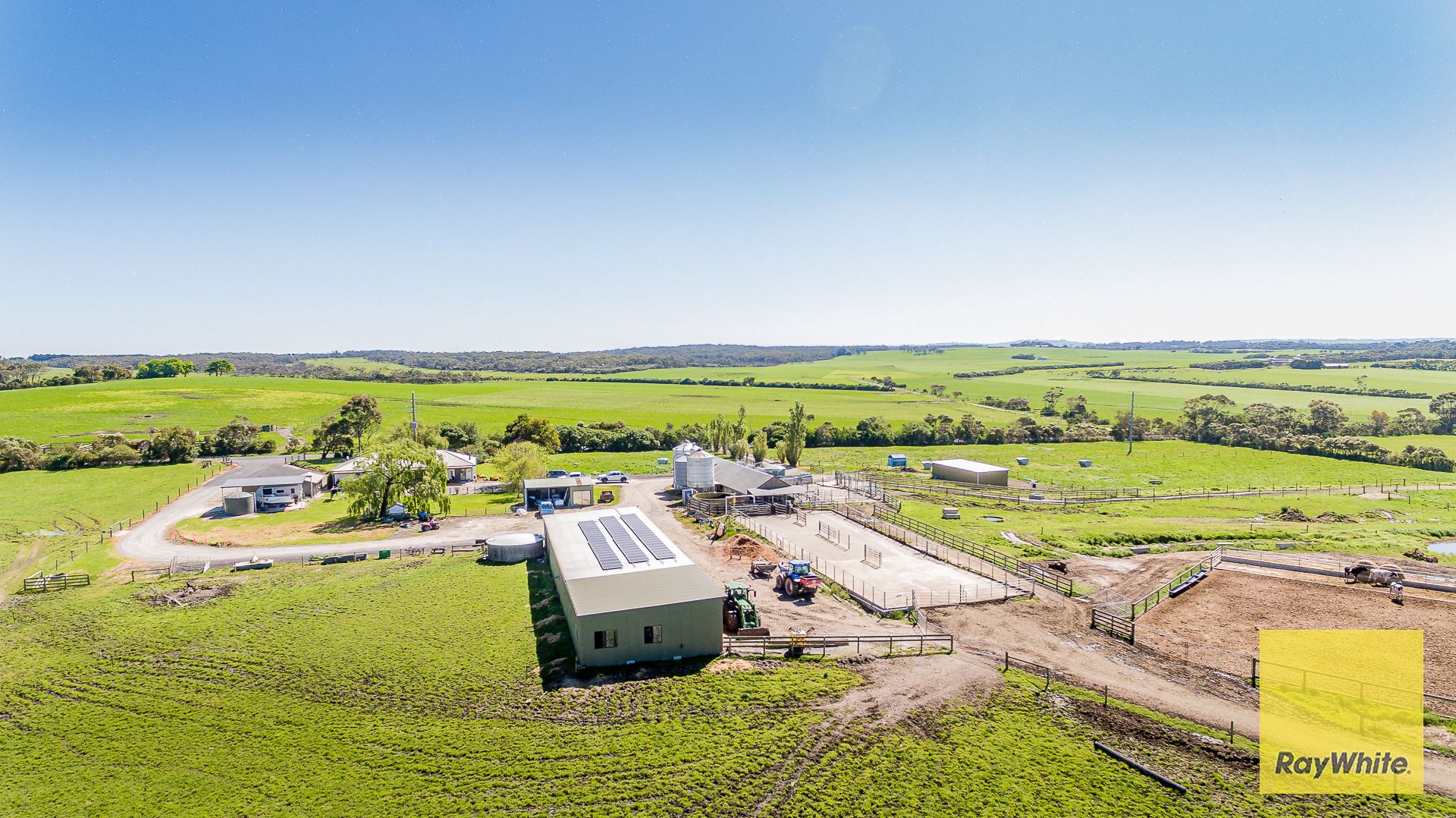 Outstanding Dairy Opportunity — photo 3 of 30
