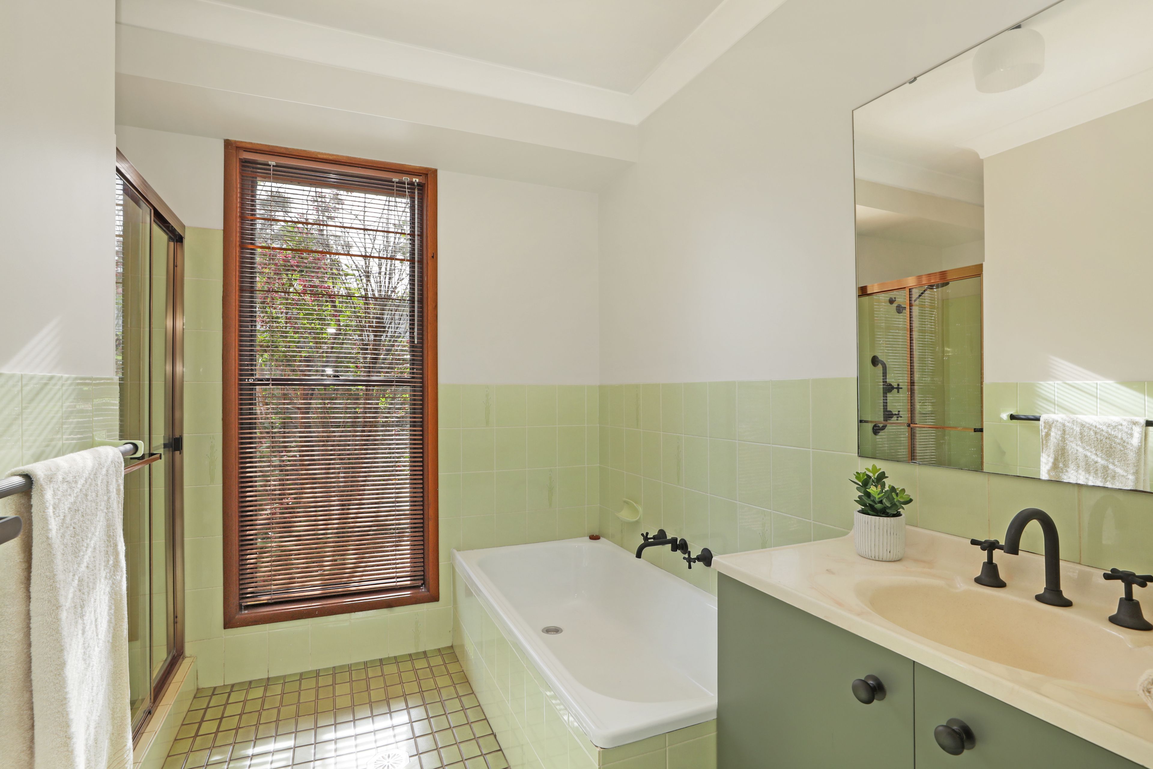 36 Wattle Street — photo 4 of 16